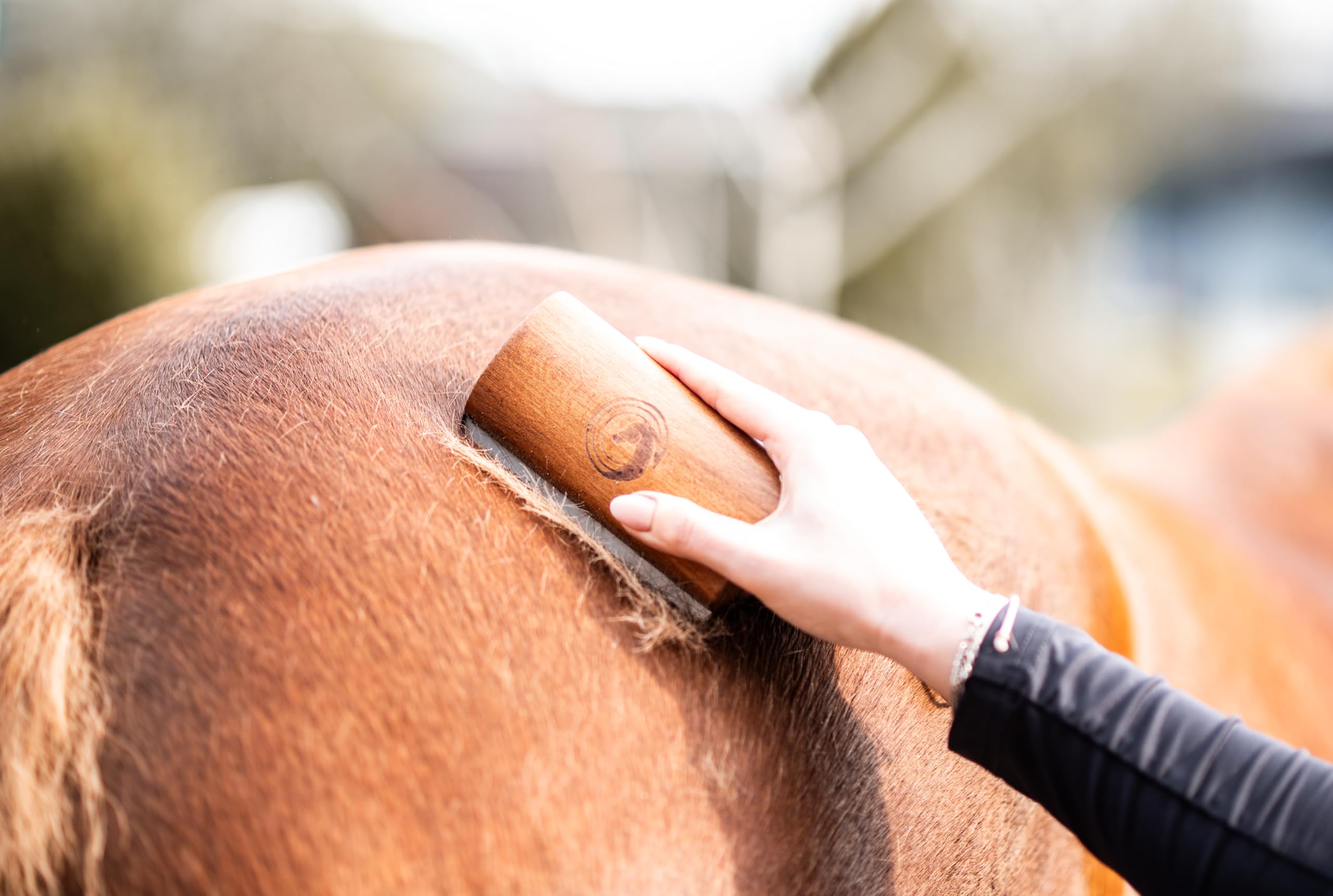 Rastrillo de muda – para caballos y perros | Elimina pelo muerto y subpelo | Suave con animales sensibles | 100 % madera natural | Herramienta eficaz para el cuidado del pelaje