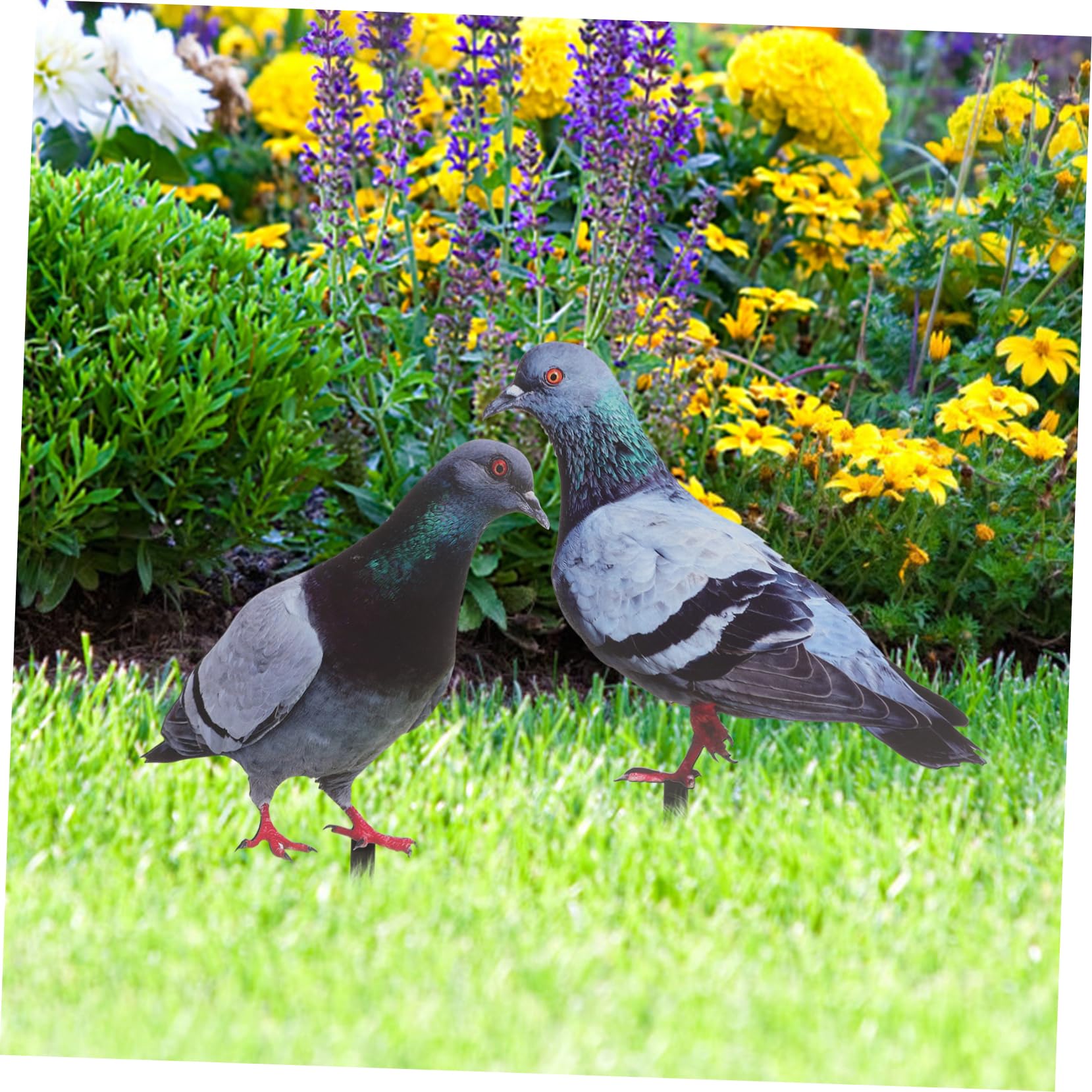 Decorazione da Giardino per Esterni 2 Pezzi Piccione Acrilico Resistente alle Intemperie Design Realistico per Decorazione Natalizia e Compleanni