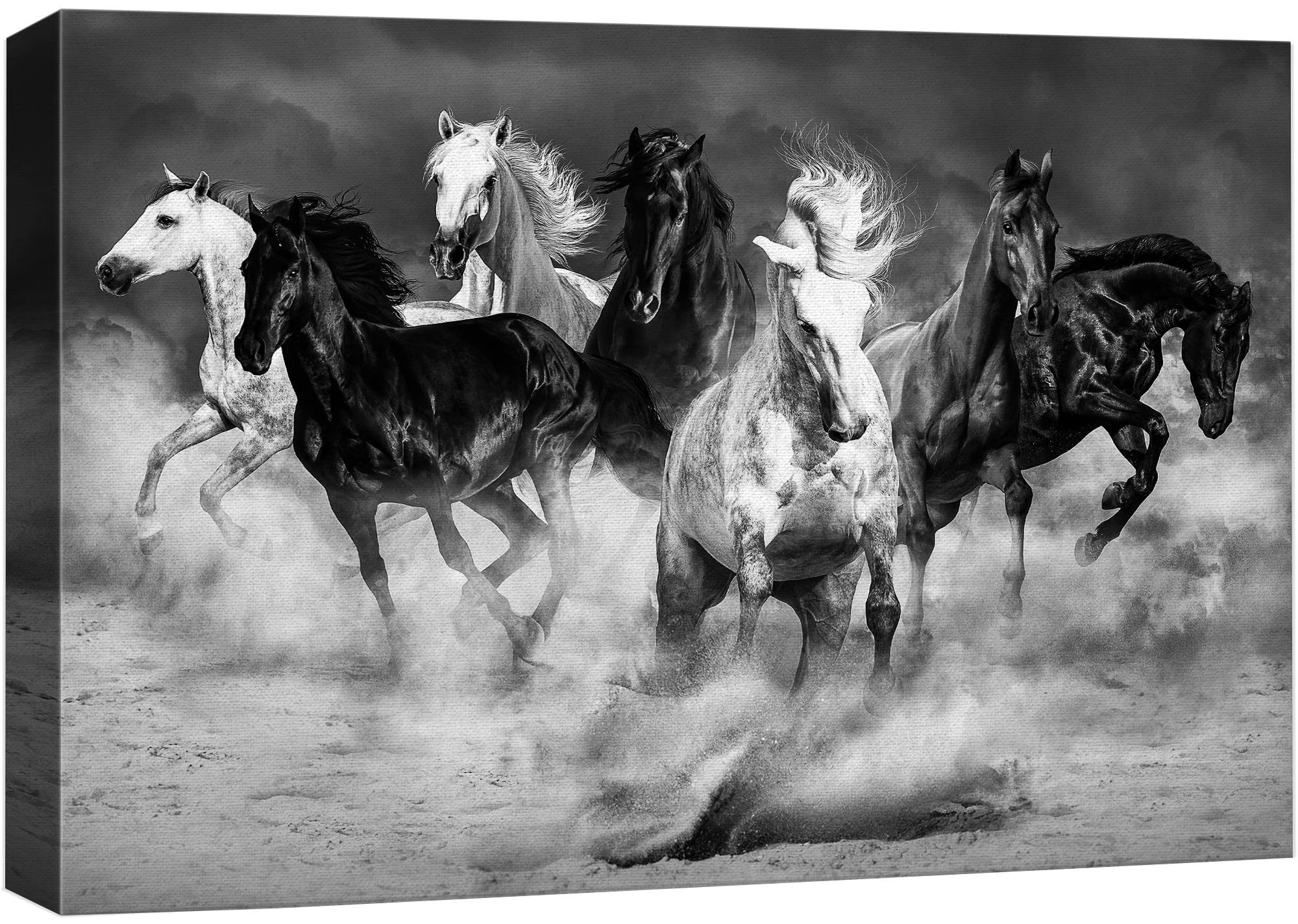 Hansa シマウマ Portraits of Nature art 26009 Amazon.com: NWT Canvas Print Wall Art Black & White Southwest