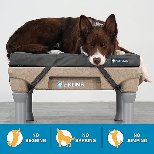 Miniatura 3 de Blue-9 Pet Products Restore - Cama para perros resistente al agua y plataforma de entrenamiento para perros KLIMB y sistema de agilidad, juego de 2