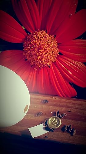 Miniatura 5 de Unique Wedding Favors - Monarch Habitat Seed Eggs