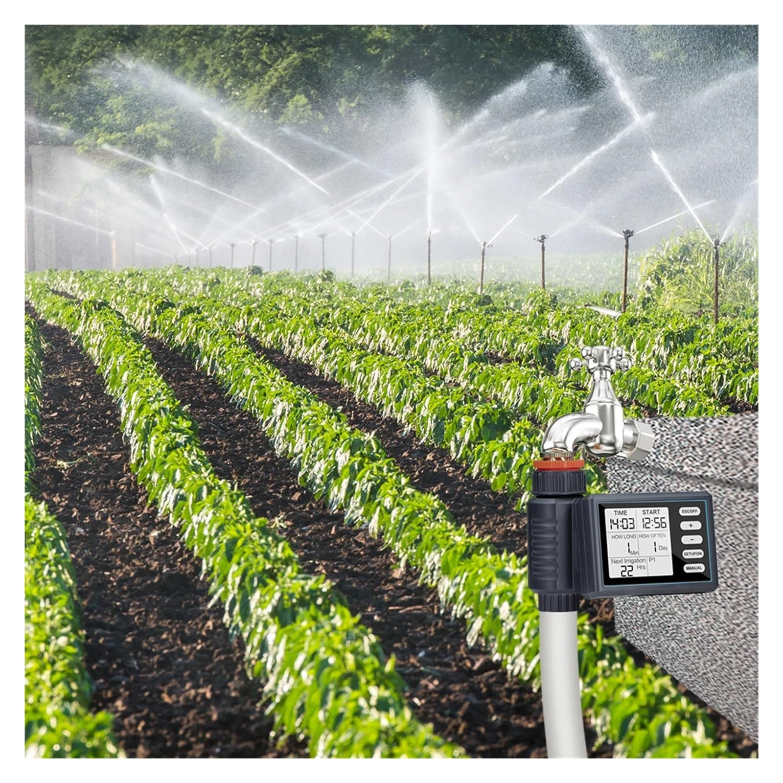 Timer for irrigazione Automatico da Giardino con Display a Grande Schermo, Controller for irrigatori programmabili LCD for Sistema di irrigazione con Rubinetto Flessibile(H x Timer)