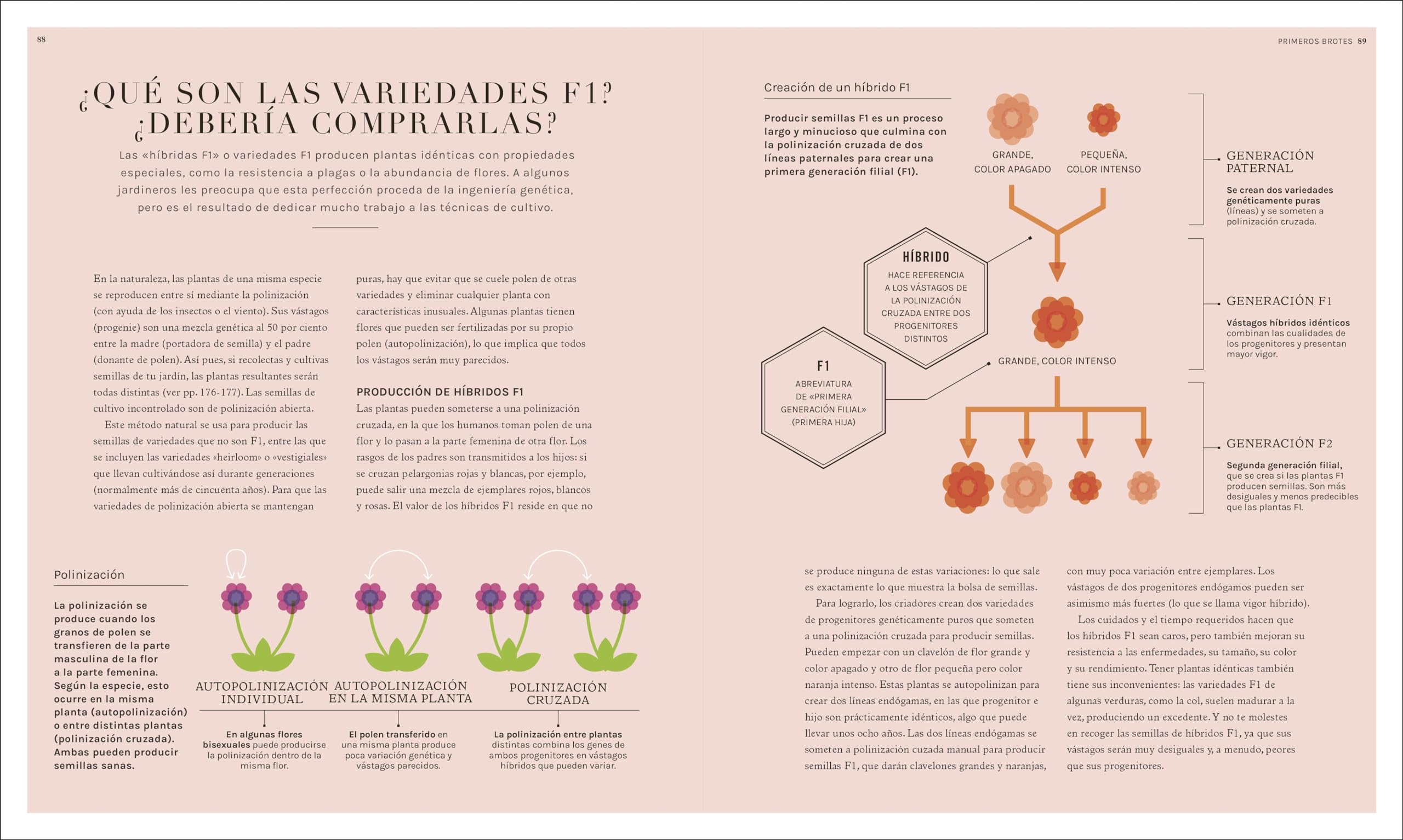Jardinología: La ciencia de la jardinería