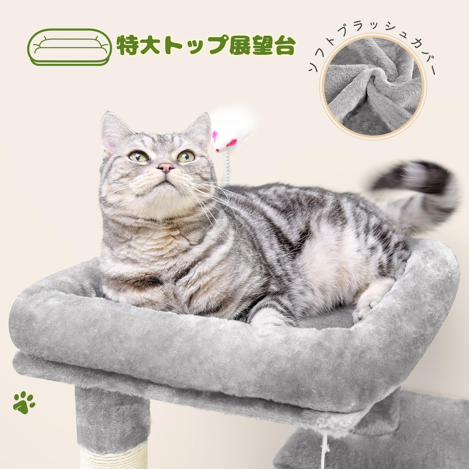 Amazon | Globlazer キャットタワー スリム コンパクト 猫タワー 大型