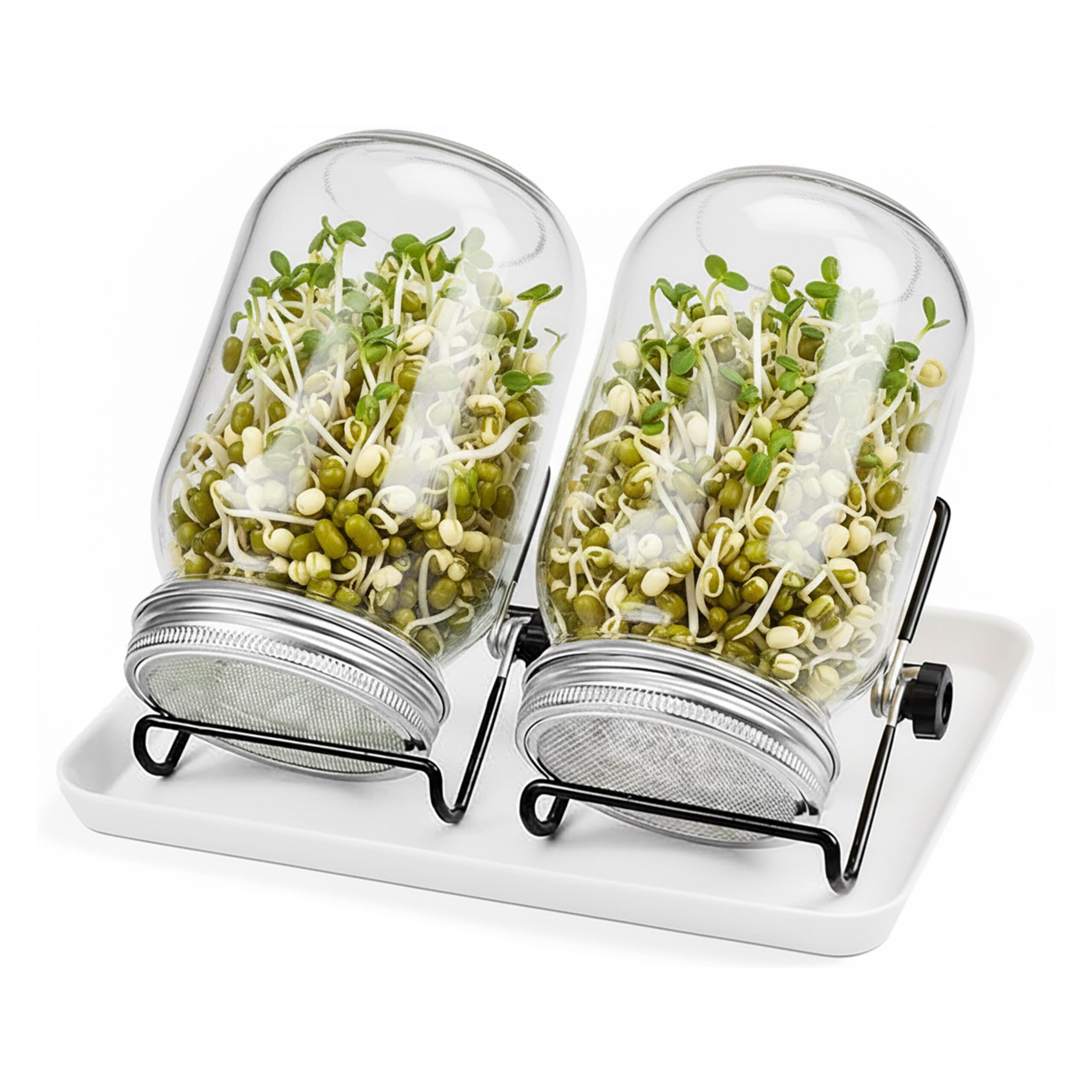 Relaxdays, Lot de 2 bocaux à germes, avec Support et égouttoir, 850 ML, pour Faire germer des graines, Transparent/Blanc