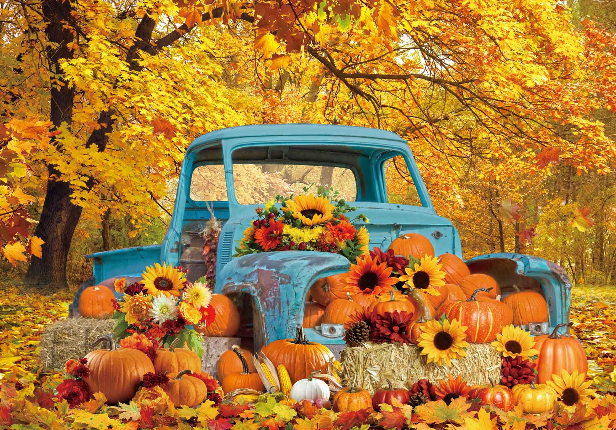 Fondo Fotográfico Otoño Telón Fondo SJOLOON Puerta Granero - 10x8 Pies,  Diseño Cosecha Calabaza, Hojas Arce, Thanksgiving Fondo Temático Cosecha, image size:2000x1395