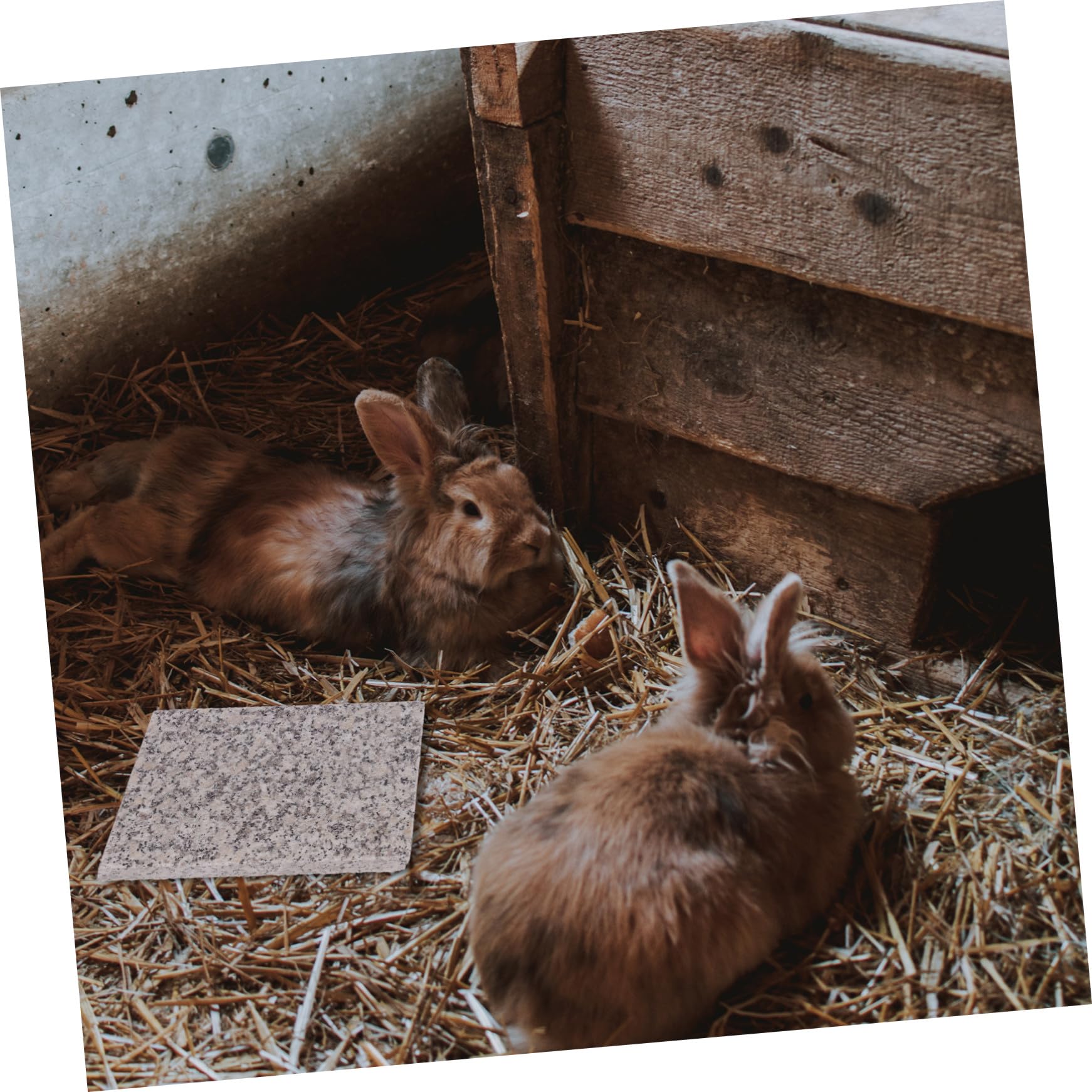 NOLITOY Hamster Kühlplatte aus Marmor, 1stück, Tragbare Platte | Sommer für Kleintiere, Geeignet für Schlafplatz, Marmor Optik mit Steinoberfläche