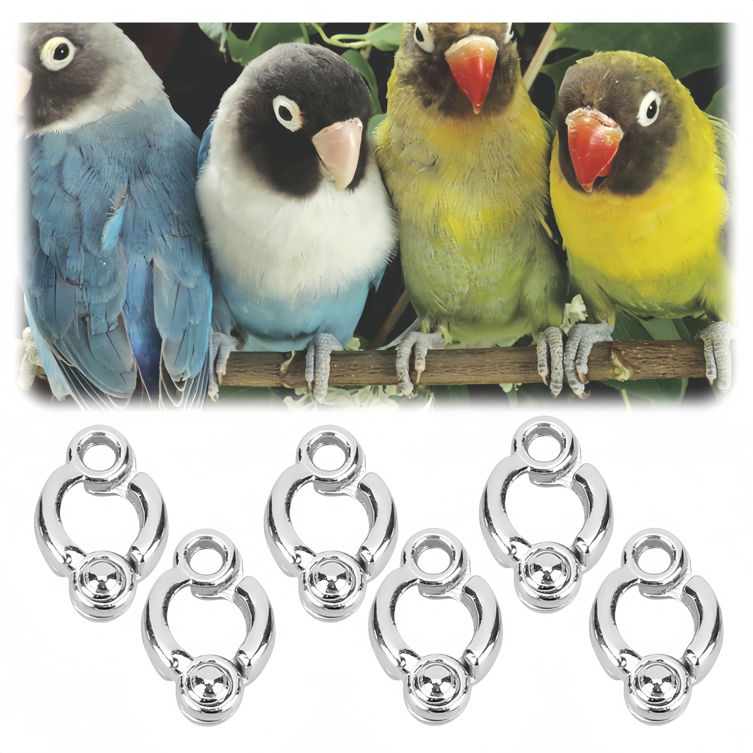 Lot de 6 anneaux pour pattes de perroquet, anneau de perroquet pour pieds d'oiseau d'ouverture d'activités de formation