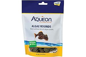 Aqueon Algae Rounds: Enriching the Aquatic Ecosystem for Flourishing Snails