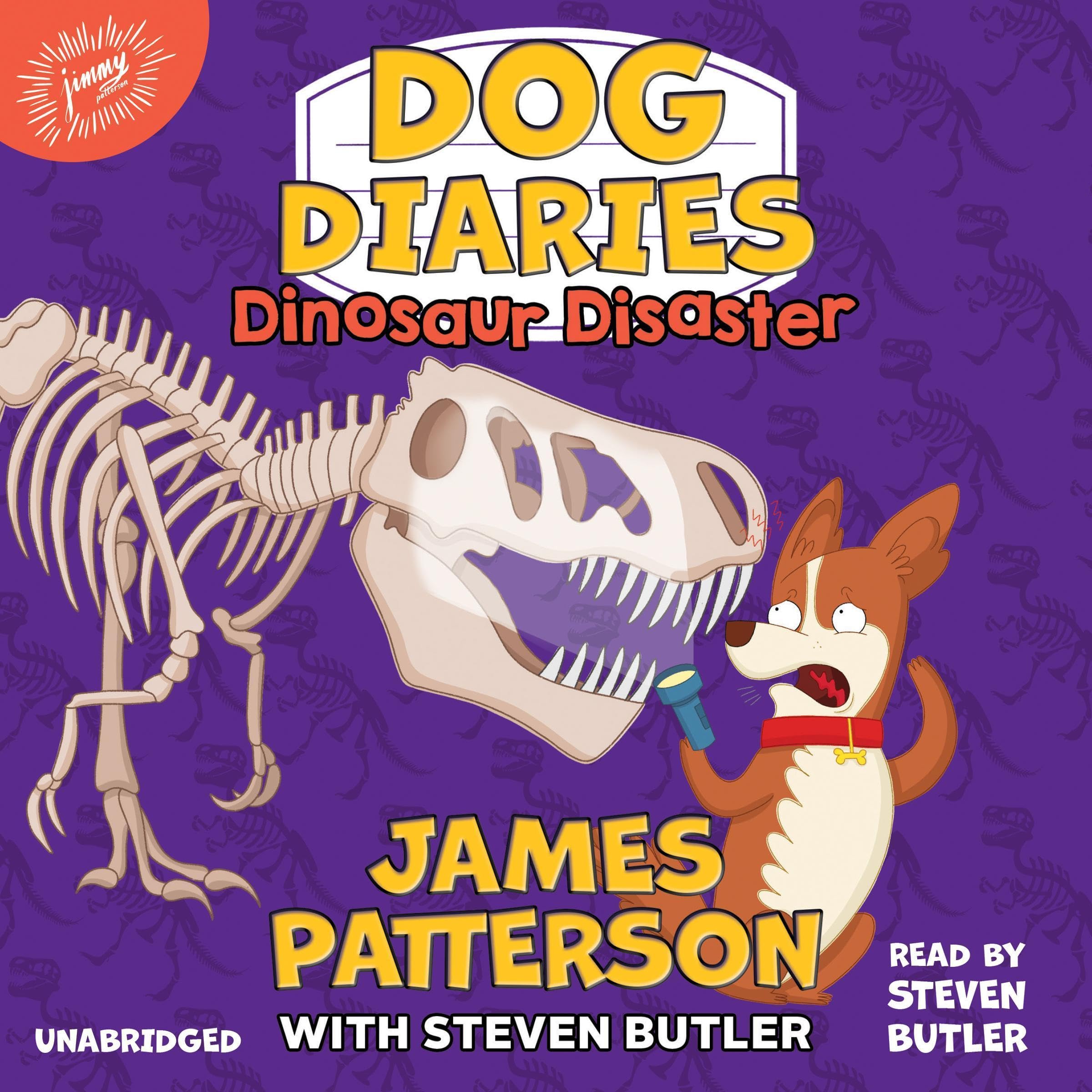 Cover art for Dog Diaries: Dinosaur Disaster