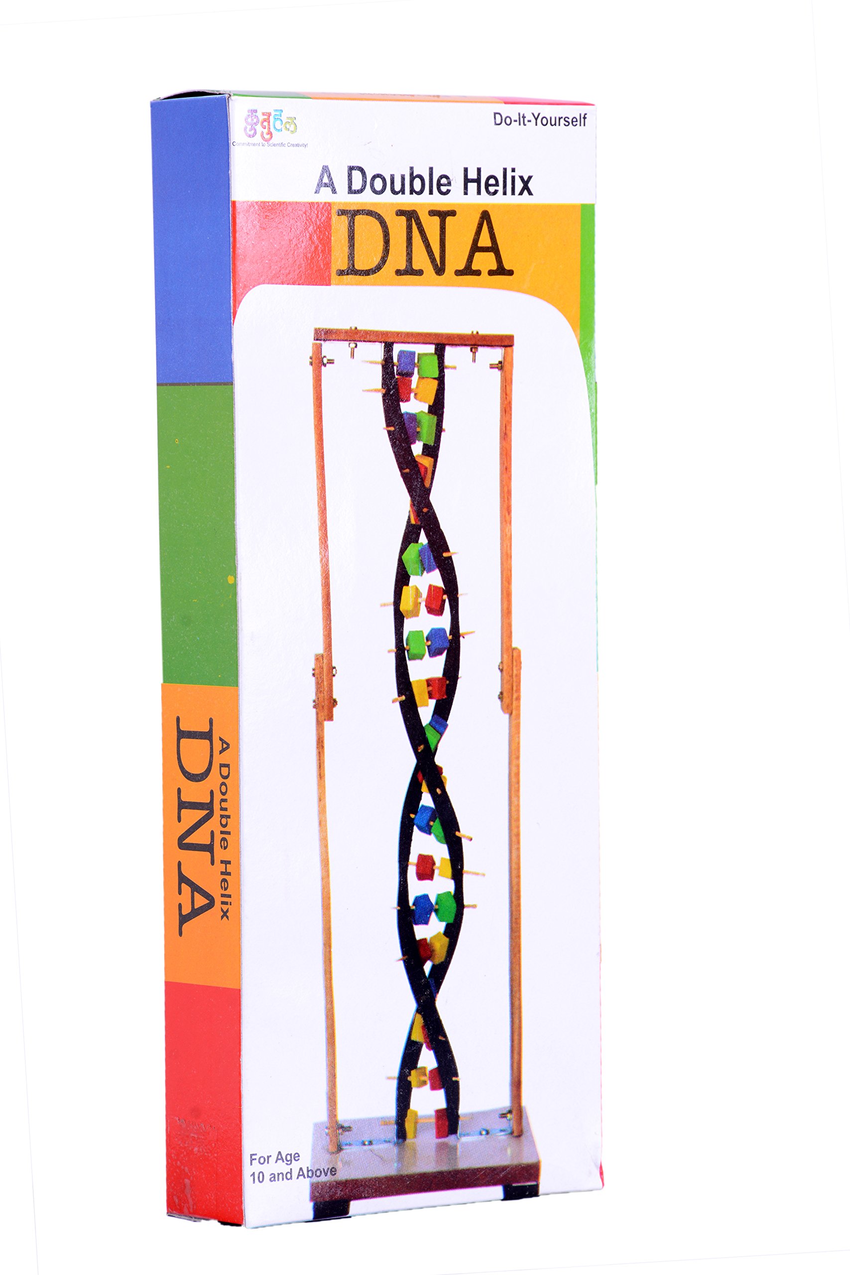 kutuhal double helix dna model making kit. hands-on biology concepts learning kit- Multi color (B01AR8F8EW) Amazon Price History, Amazon Price Tracker