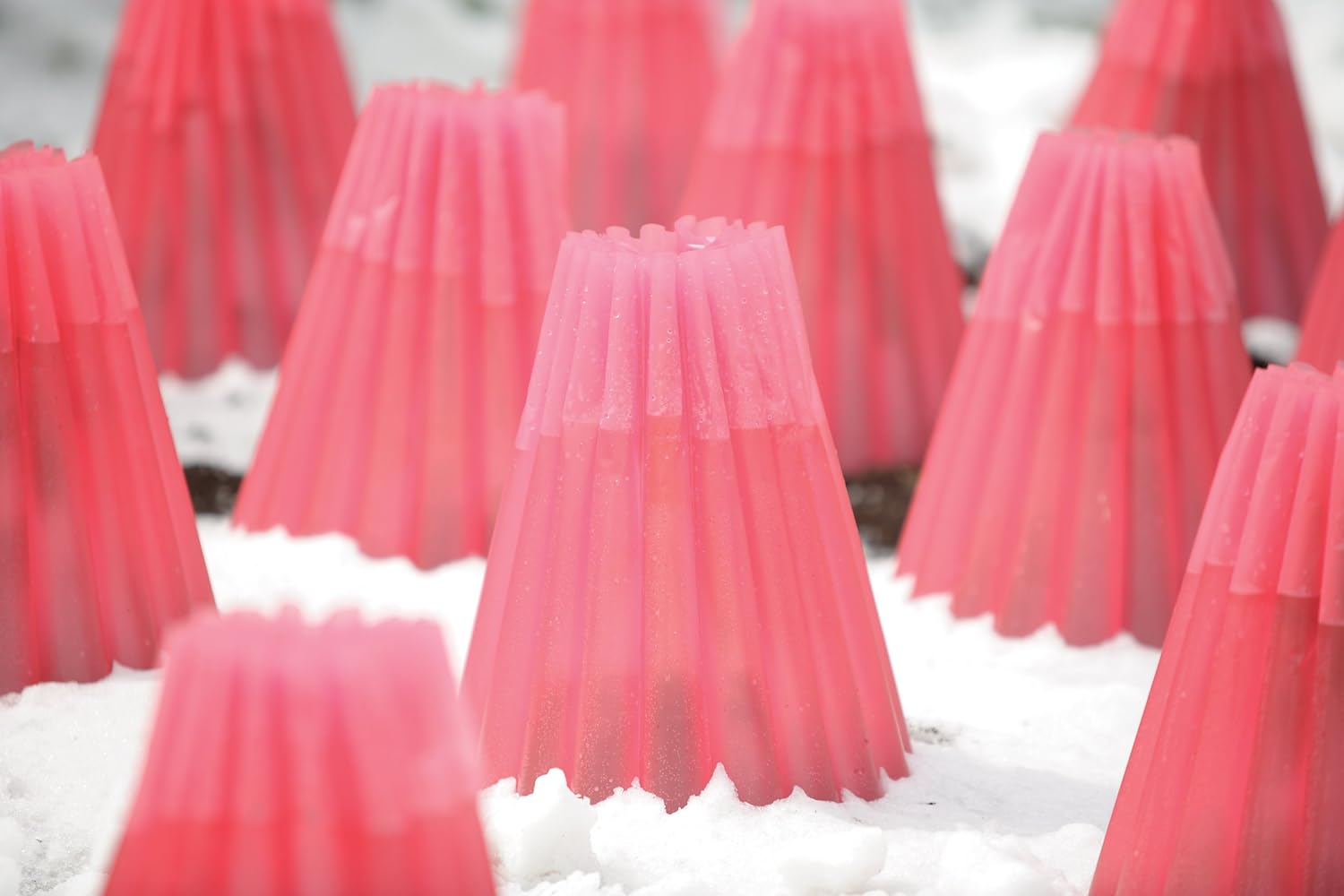 Bosmere Kozy Coats Garden Teepee Insulated Plant Covers | Protects Plants From Winter Weather, Water Filled Freeze Protection For Plants | Pack of 6
