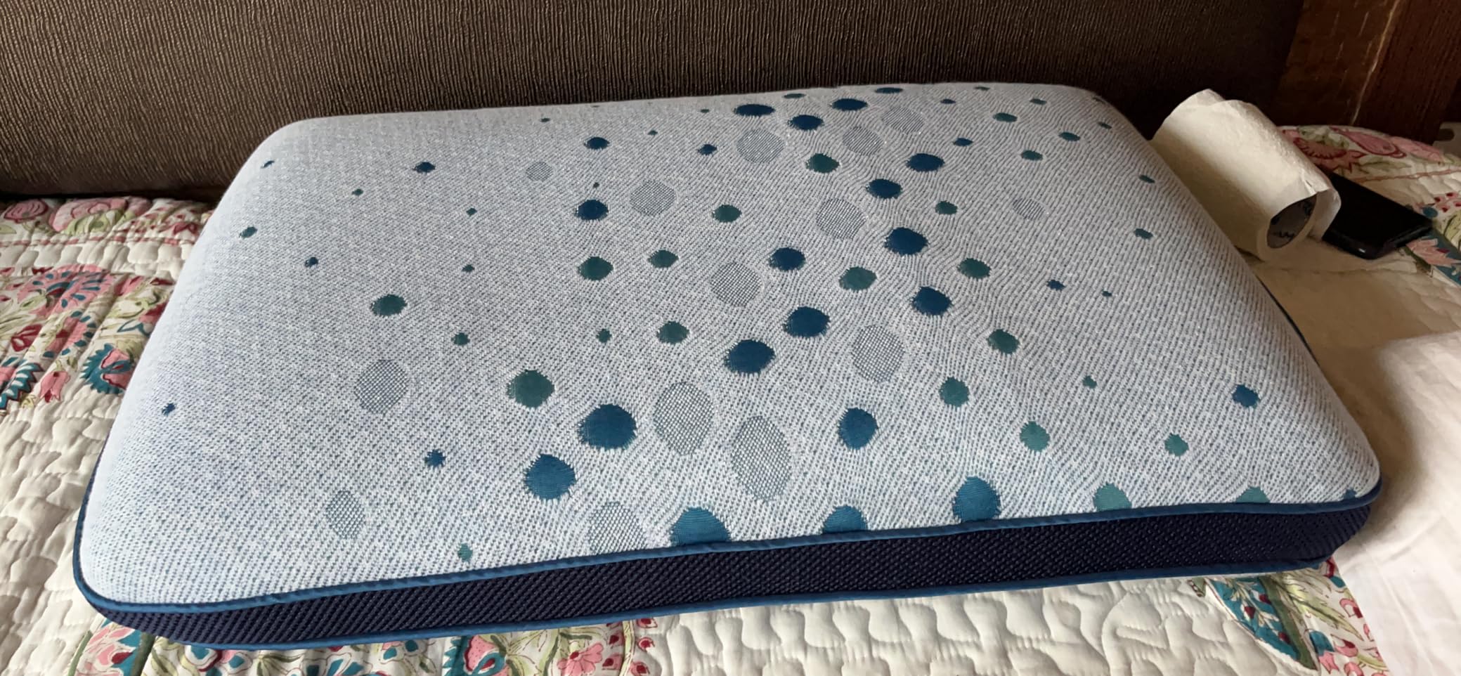 Sleepwell Bombay Dyeing Premium Pillow Latex Curve, Blue, Pack of 1