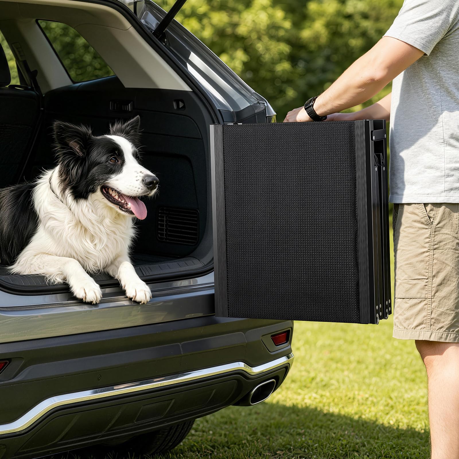 VEVOR Rampa para Perros para Coche, 180 x 43,2 cm, Plegable, para Perros Medianos y Grandes de hasta 113 kg, con Superficie de Tela Oxford Antideslizante, Portátil, para Exteriores, SUV y Camión