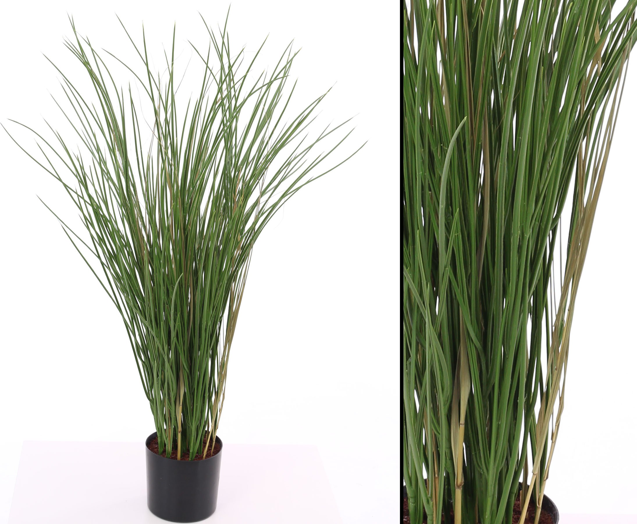 künstliche papageientulpen Künstliche Papageientulpen, weiß – 40 cm – 5 Stiele – Hillary'sHome B.V main image 0