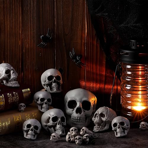 Miniatura 7 de Leyndo 23 piezas de cabeza de esqueleto de Halloween, 5 tamaños, mini accesorios de calavera de plástico de aspecto realista, esqueleto humano con