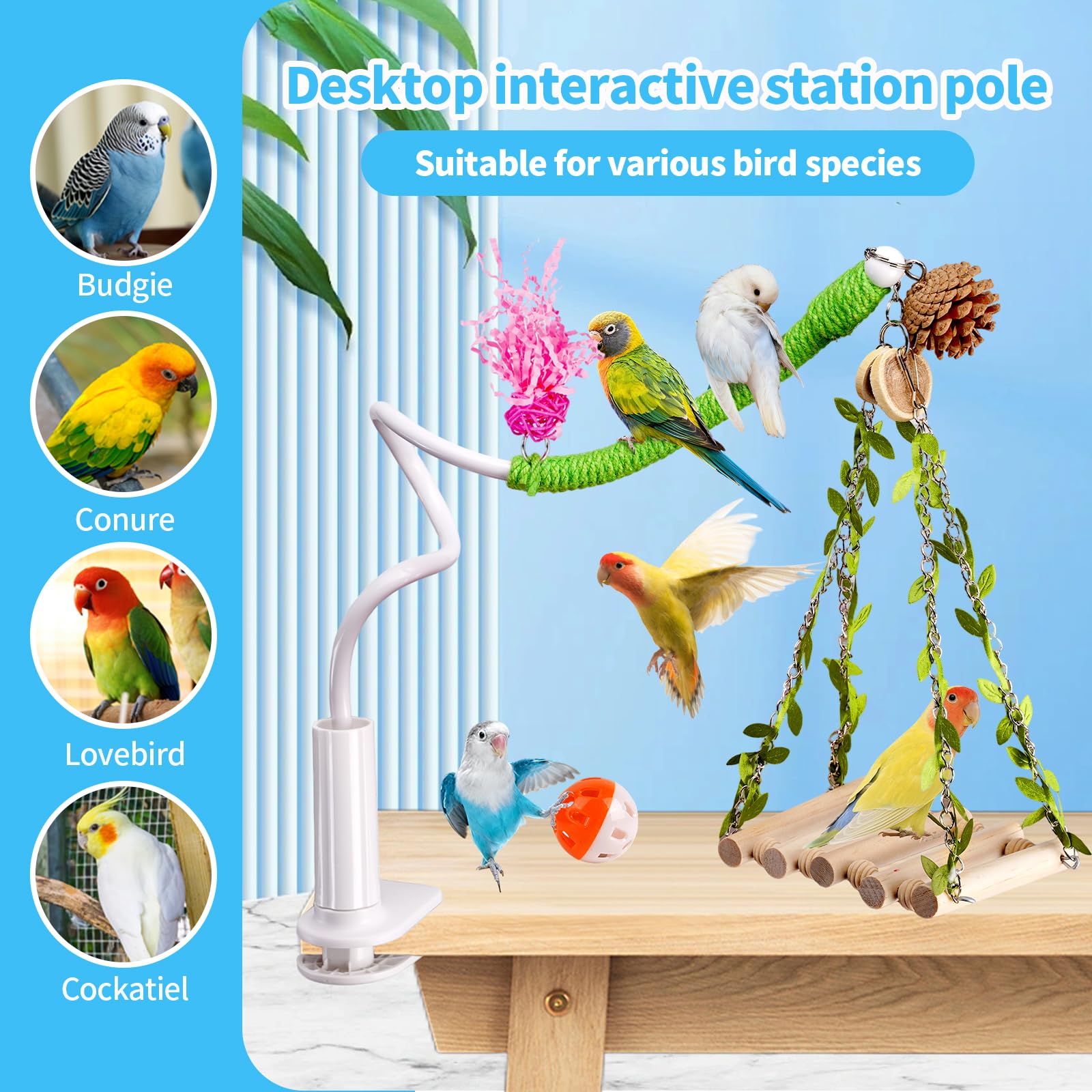 Bird Perch Stand with Swing, Desktop Bird Toy & Stand for Interacting, Interactive Playground for Sun Conure, Lovebirds, Conure, Budgie, Cockatiel - Non-Slip Adjustable Perch - image 6