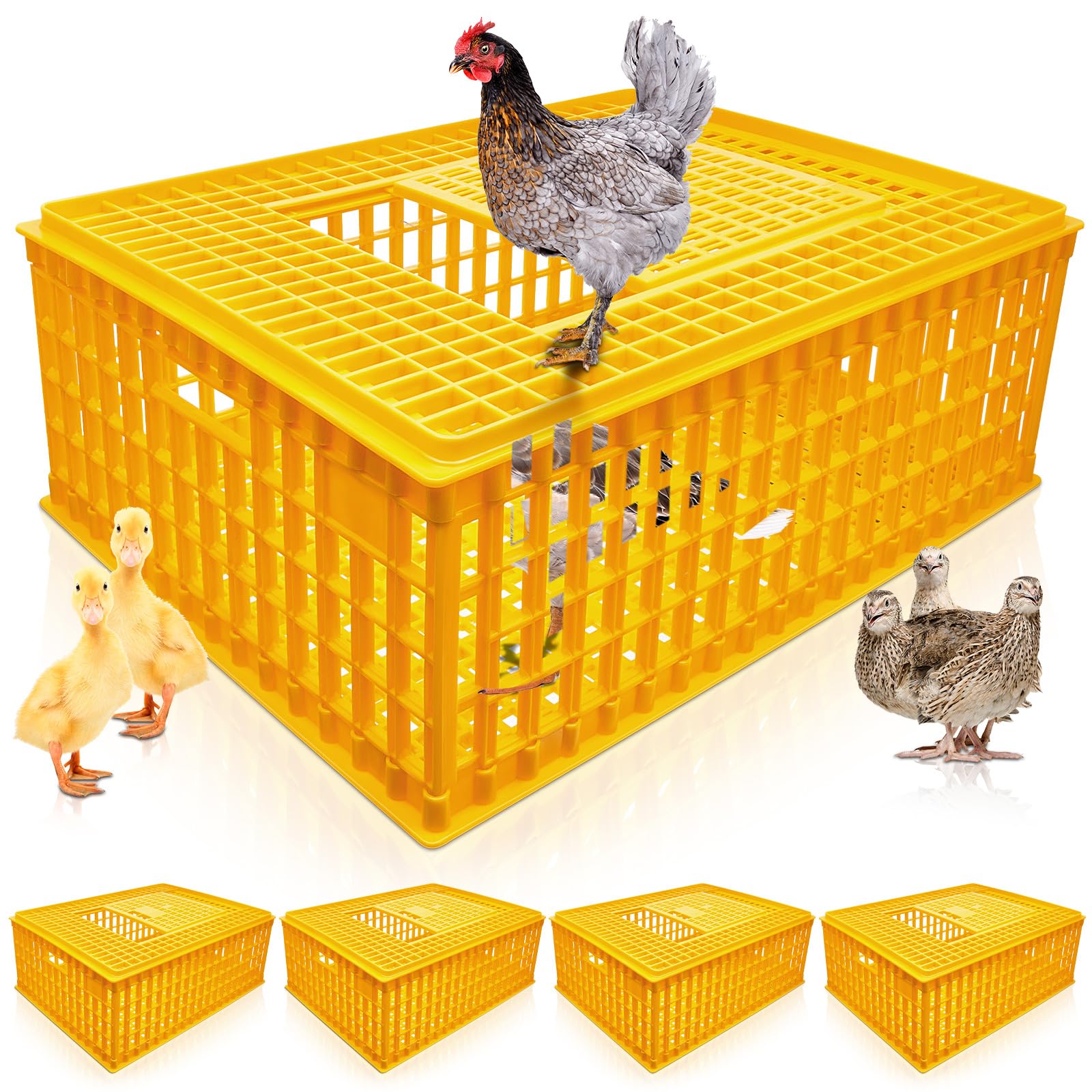 Sintuff 2-Piece Poultry Carrier - Plastic Chicken Transport Cage, 29.5 x 21.7 x 11.6 Inch