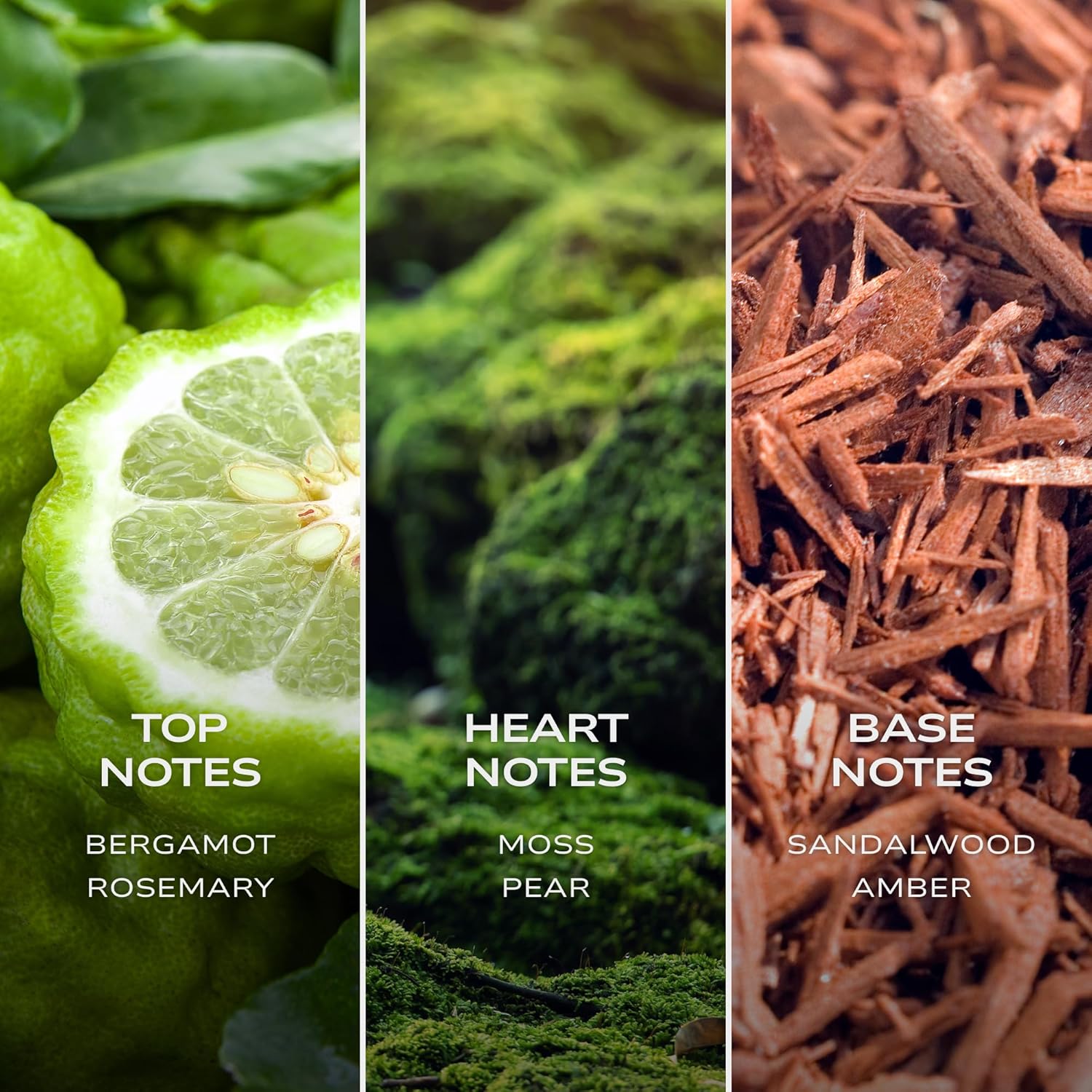 Intelligent Cobalt Eau de Parfum | Cologne for Men | Enticing, Intoxicating, Fierce | 3.4 Fl Oz (100 mL) - Image 3