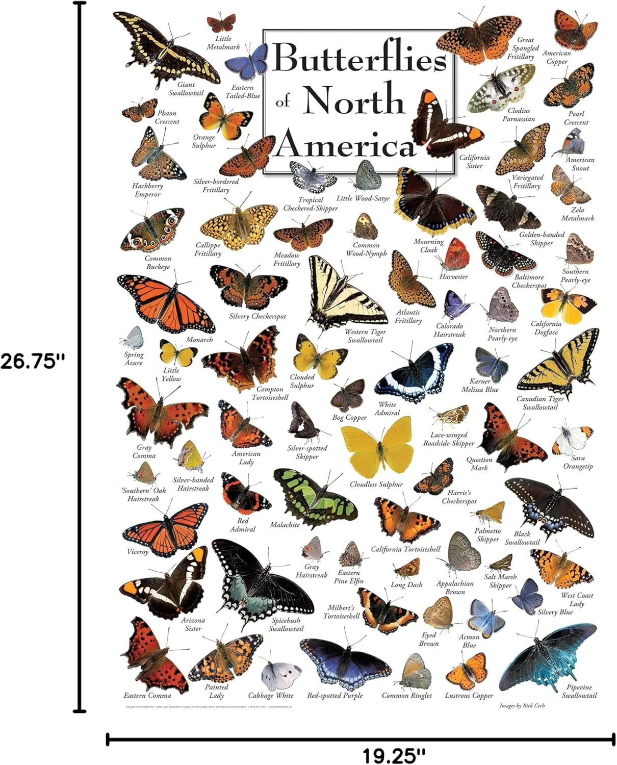 MasterPieces 1000 Piece Jigsaw Puzzle for Adults, Family, Or Youth - Butterflies of North America - 19.25"x26.75"