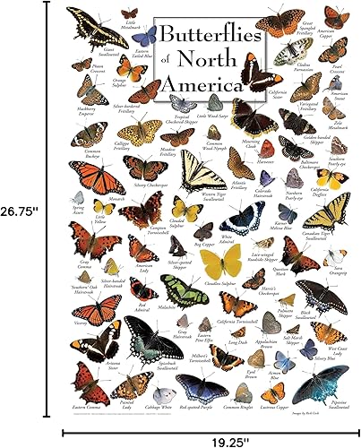 Miniatura 6 de MasterPieces Rompecabezas de 1000 piezas para adultos, familia o niños, mariposas de América del Norte, 19.25 x 26.75 pulgadas