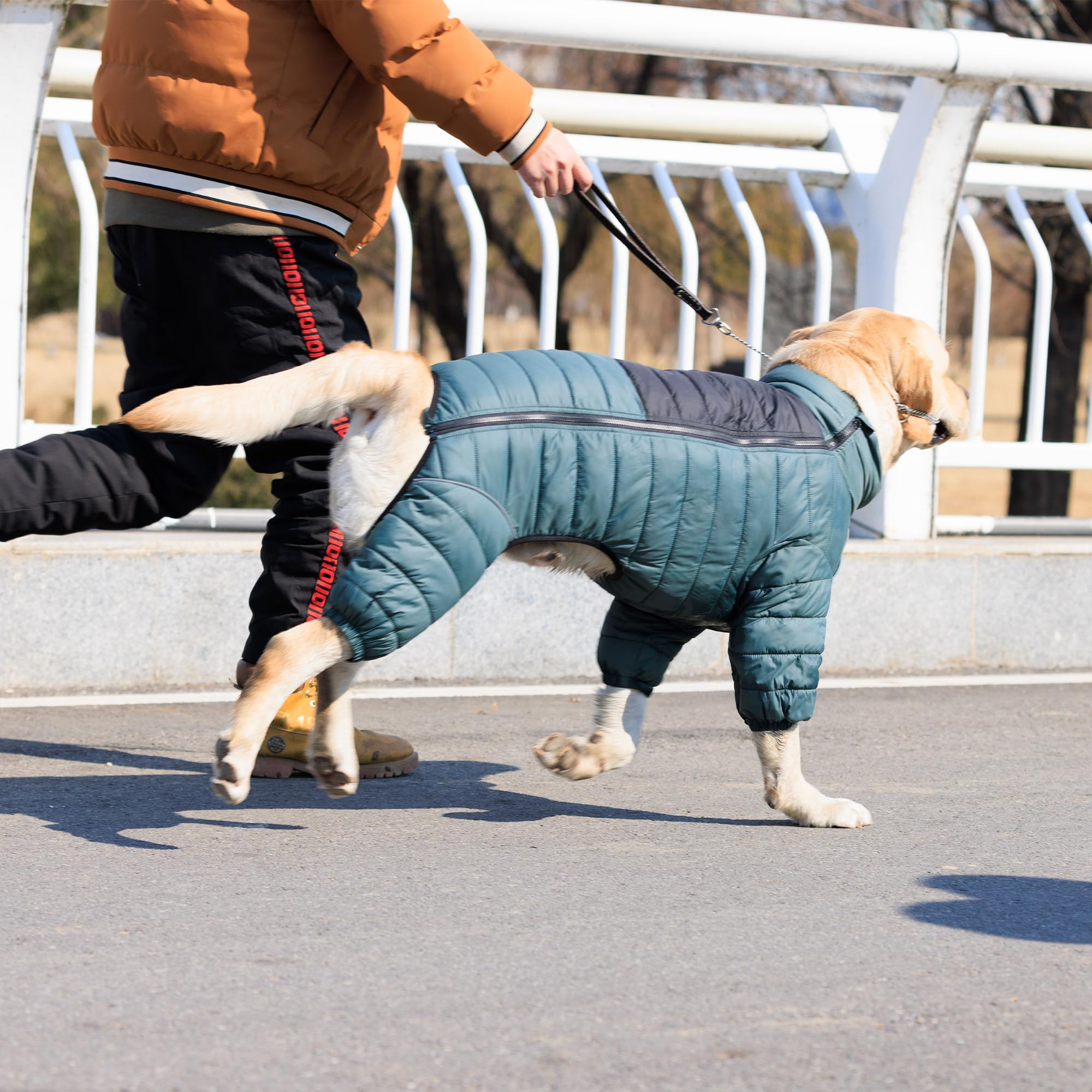 Hundemantel, warme Hundejacke, 4 Beine bedeckt, wasserdicht, Winddicht, reflektierende, warme Hundeweste, Hundeschneejacke für kleine, mittlere und große Hunde.ArmyGreen XL