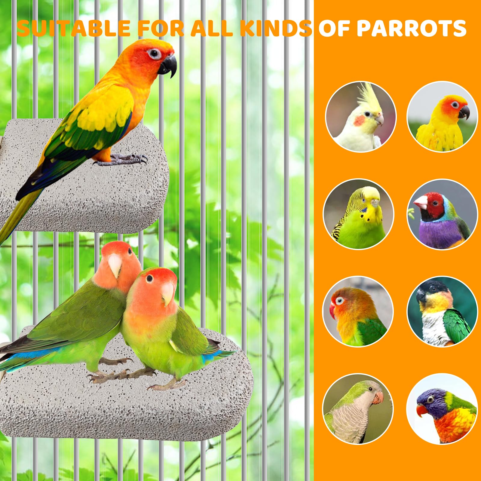 4 Pack Bird Beak Grinding Calcium Stone, Parrot Cage Perch Stand Platform Foot Claws Trimmer, Parrot Teething Stone Toy, Bird Cage Accessories for Parakeet, Hamster, Chinchilla, Small - image 7