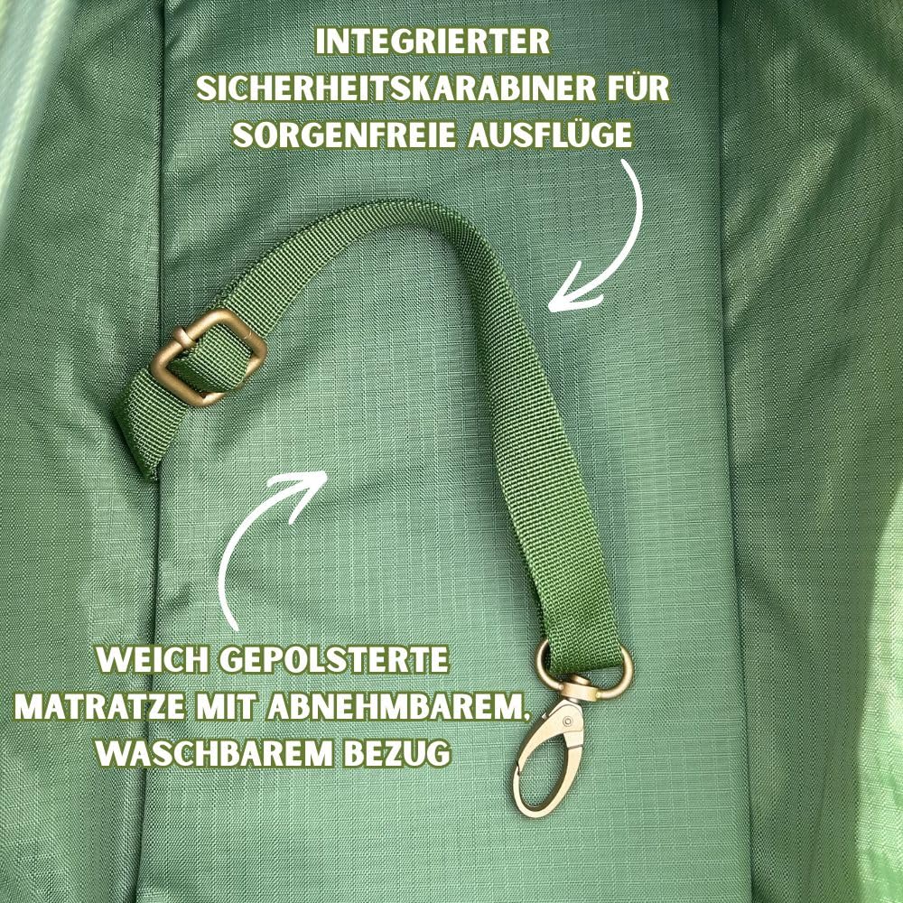 Jane Hundetasche Grün – Stilvolle Hundetransportbox für kleine Hunde bis 8 kg, Faltbare Transportbox Hund fürs Auto, Reisen & Alltag