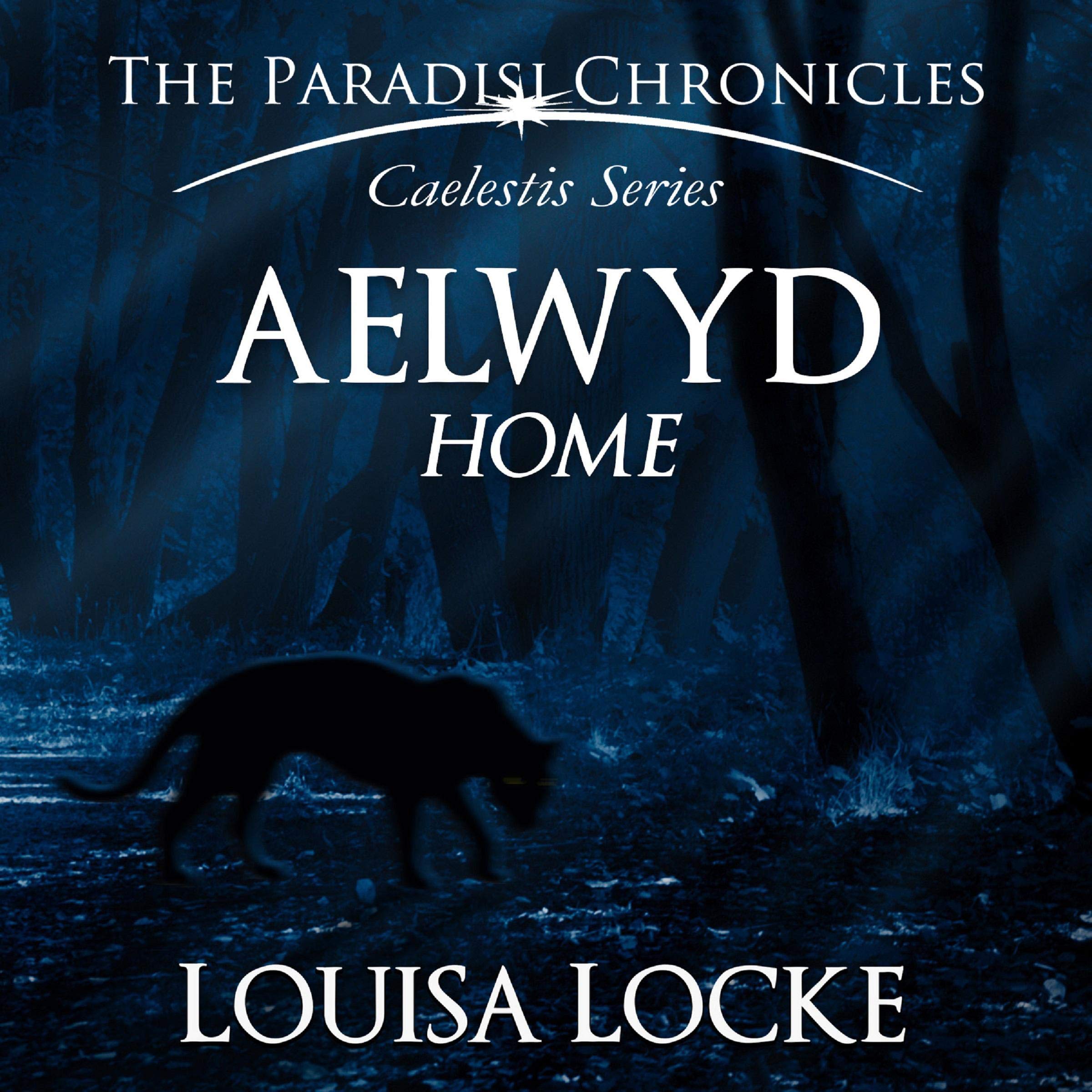 Cover art for Aelwyd: Home