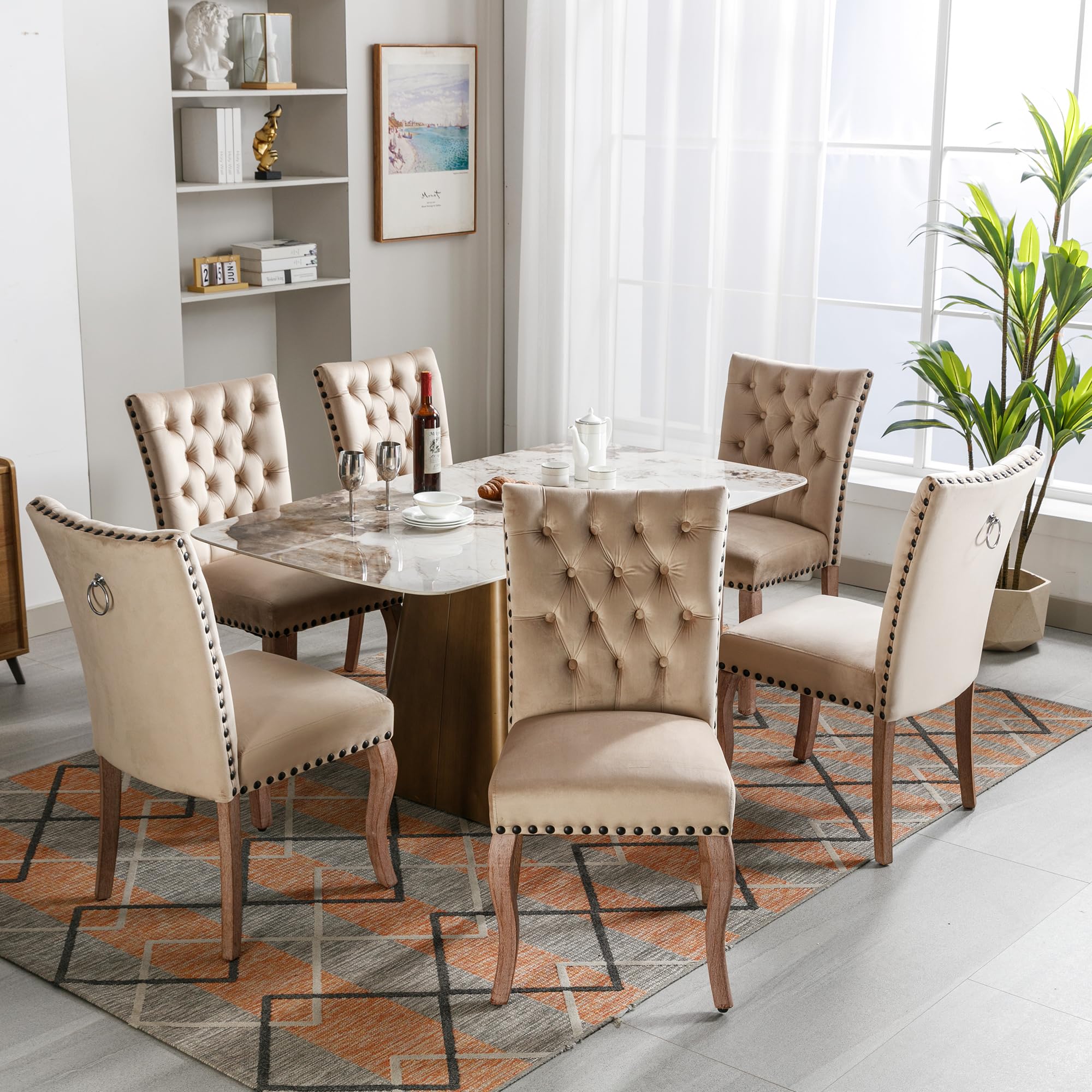 Sedia da pranzo (sedia da cucina, soggiorno con battente unico sul retro), sedia imbottita con testa di chiodo, gambe in legno massiccio, rivestimento in velluto, cammello chiaro, 6 pezzi