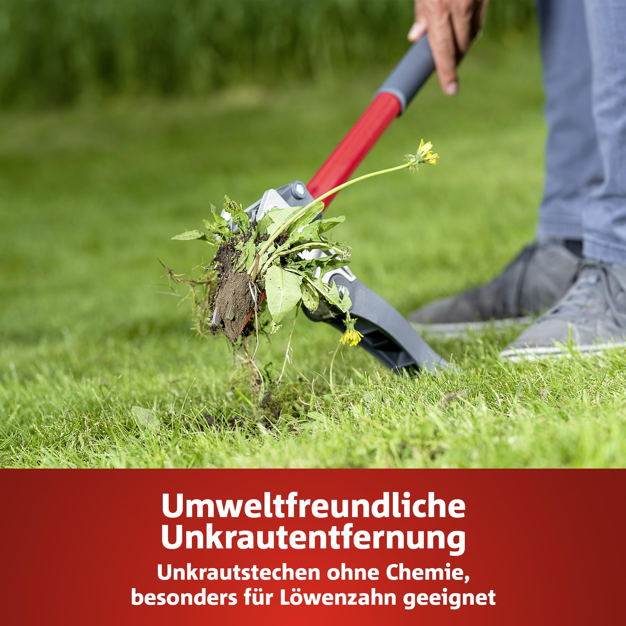 Wolf IW-A Unkrautstecher