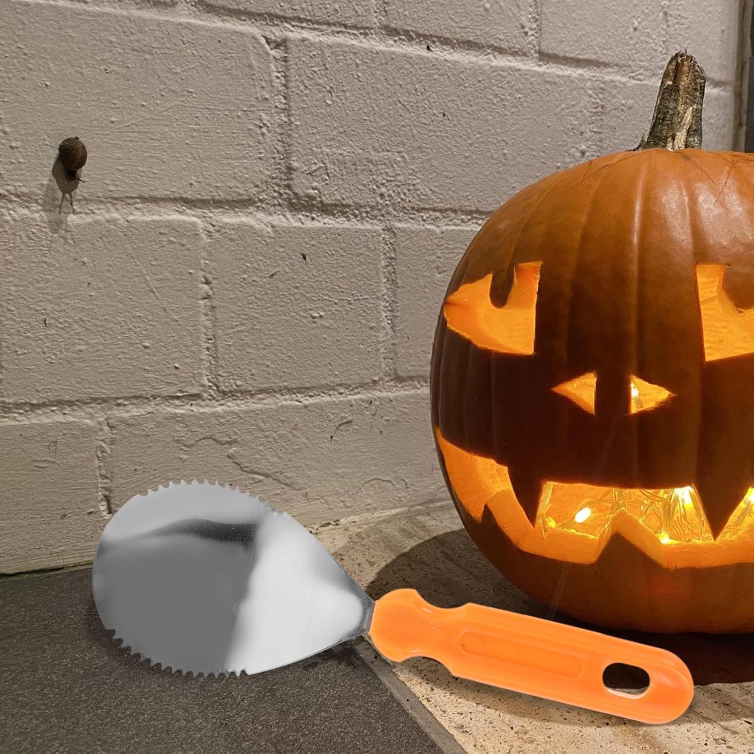 Zerodeko Halloween Pumpkin Carving Tools Set Stainless Steel Canvas Bag