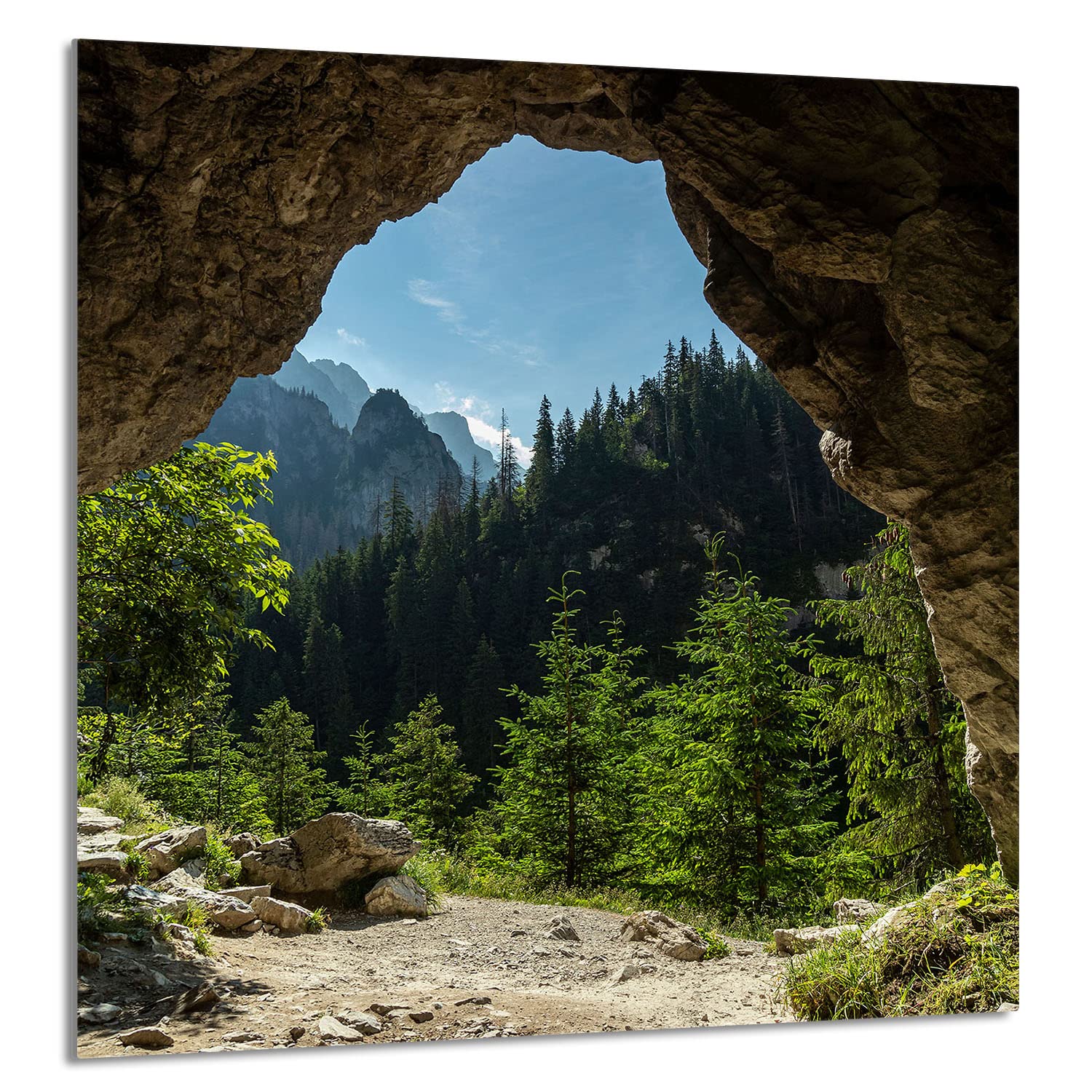 Szklany panel ochronny do kuchni Lacobel, szklana płyta ochronna na kuchenkę, 60x65 cm, szklana deska do krojenia, ochrona przed rozpryskiwaniem, uniwersalna, DRZEWA