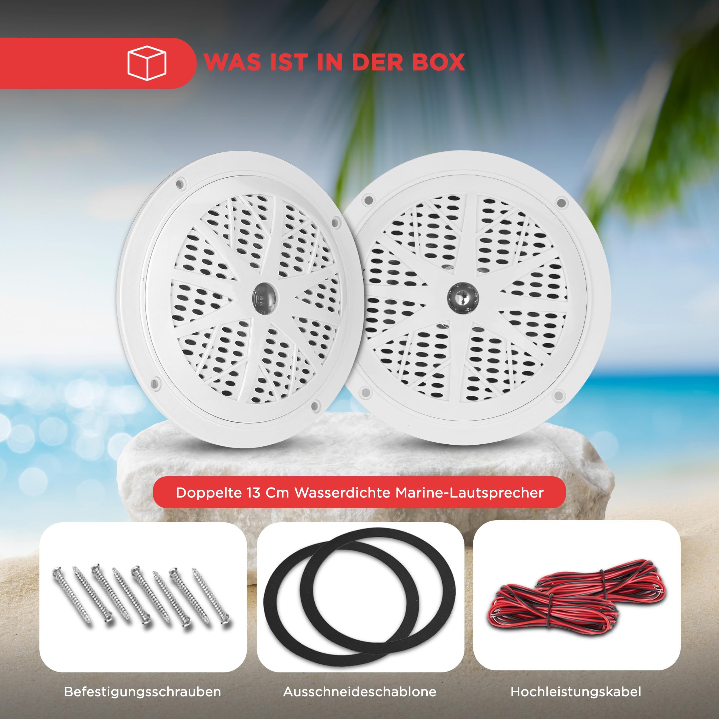 Pyle Outdoor Lautsprecher Boxen – Outdoor Box Wasserdicht für Auto & Boot, Lautsprecher Passiv 100 Watt als 2-Wege-Lautsprecher, Aufbaulautsprecher leicht montierbar, Outdoor Speaker Schwarz Musikbox