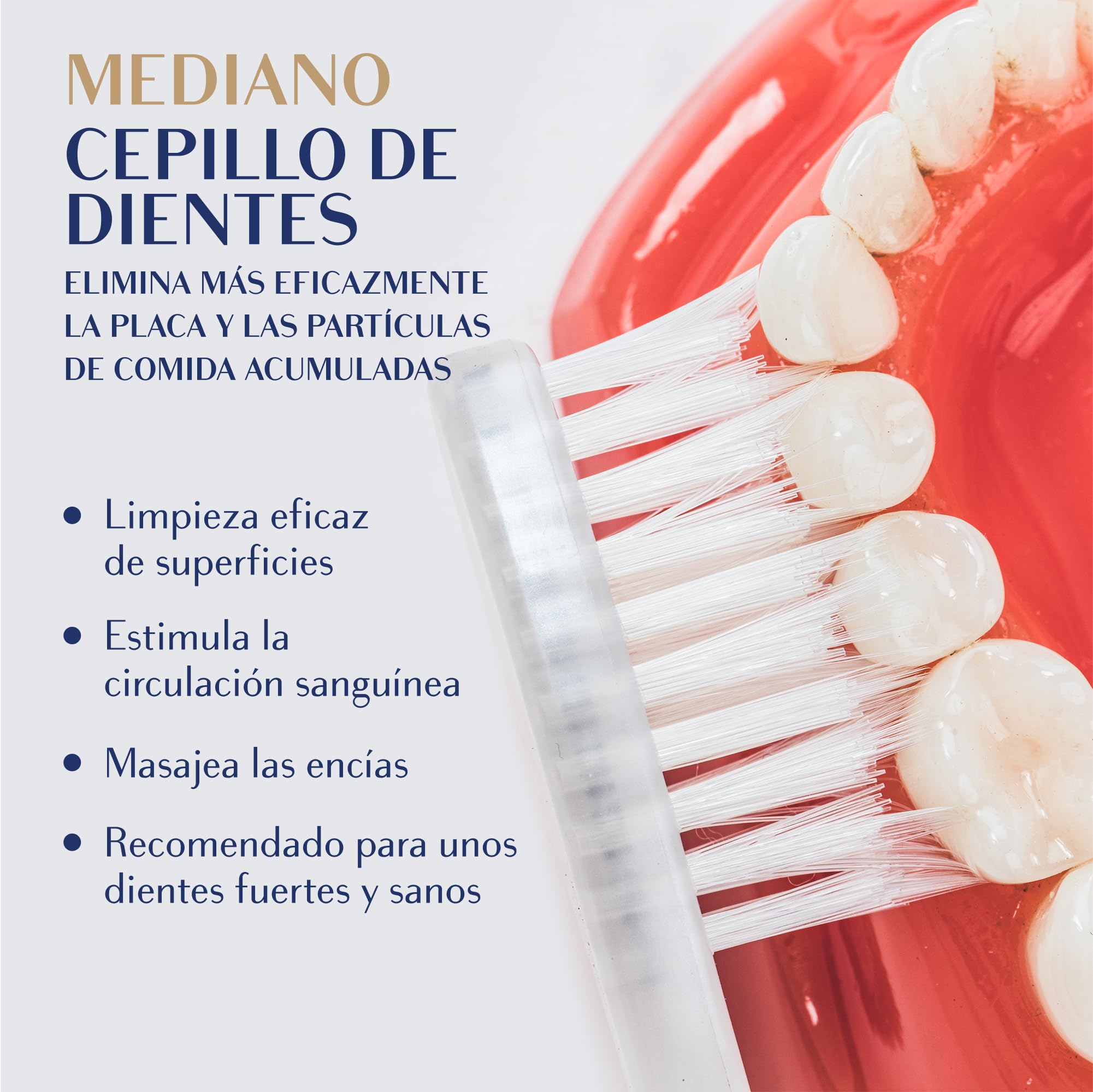 Cepillo dental con hilo dental multipack para adultos, doble longitud plata infusión cerdas para eliminación de placa interdental y cuidado de las encías, medio suave manual