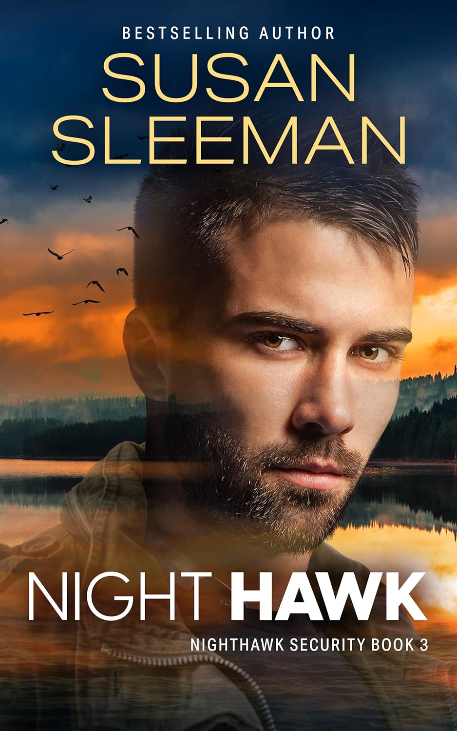 Night Hawk A Christian Romantic Suspense (Nighthawk