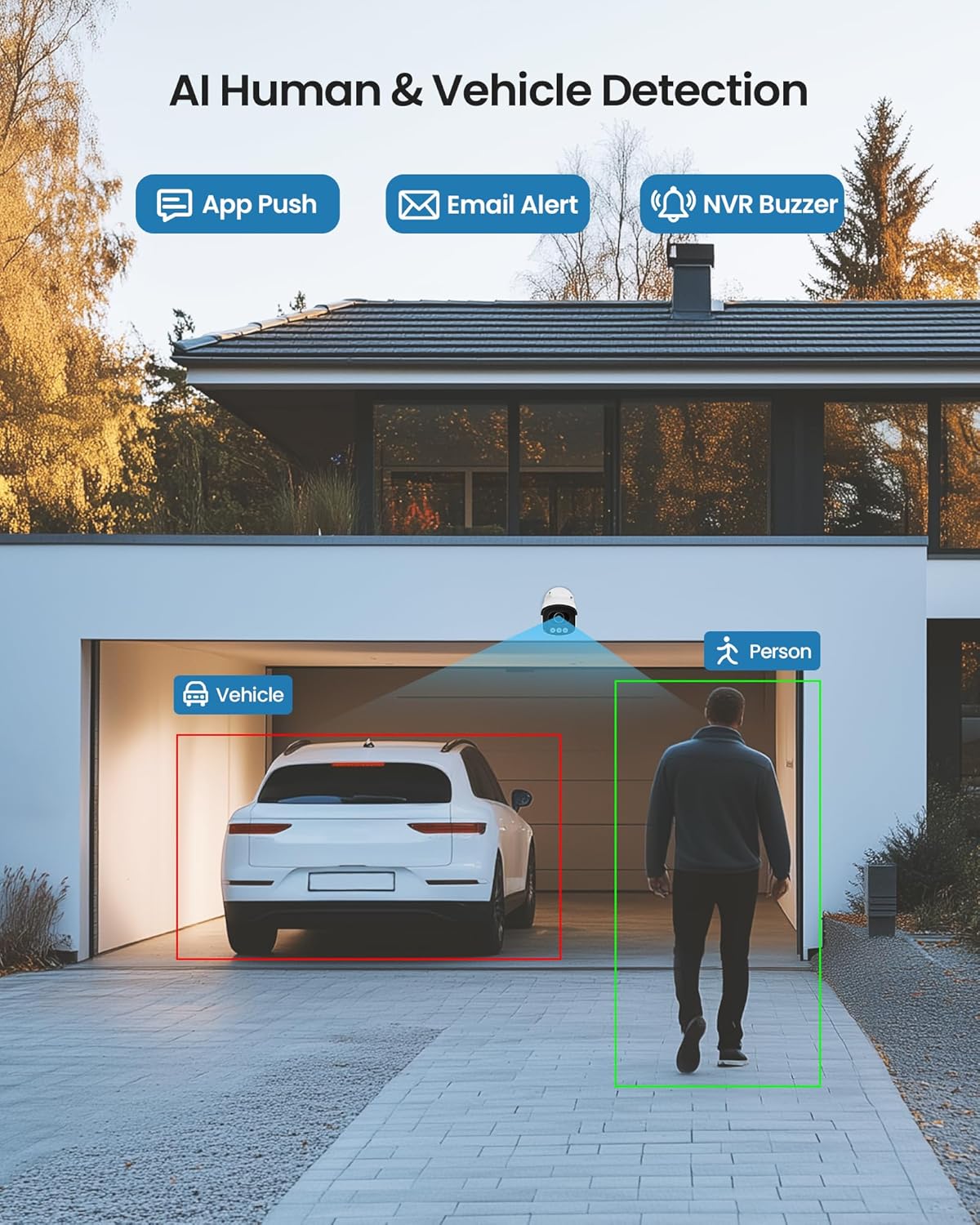 AI human and vehicle detection in a driveway