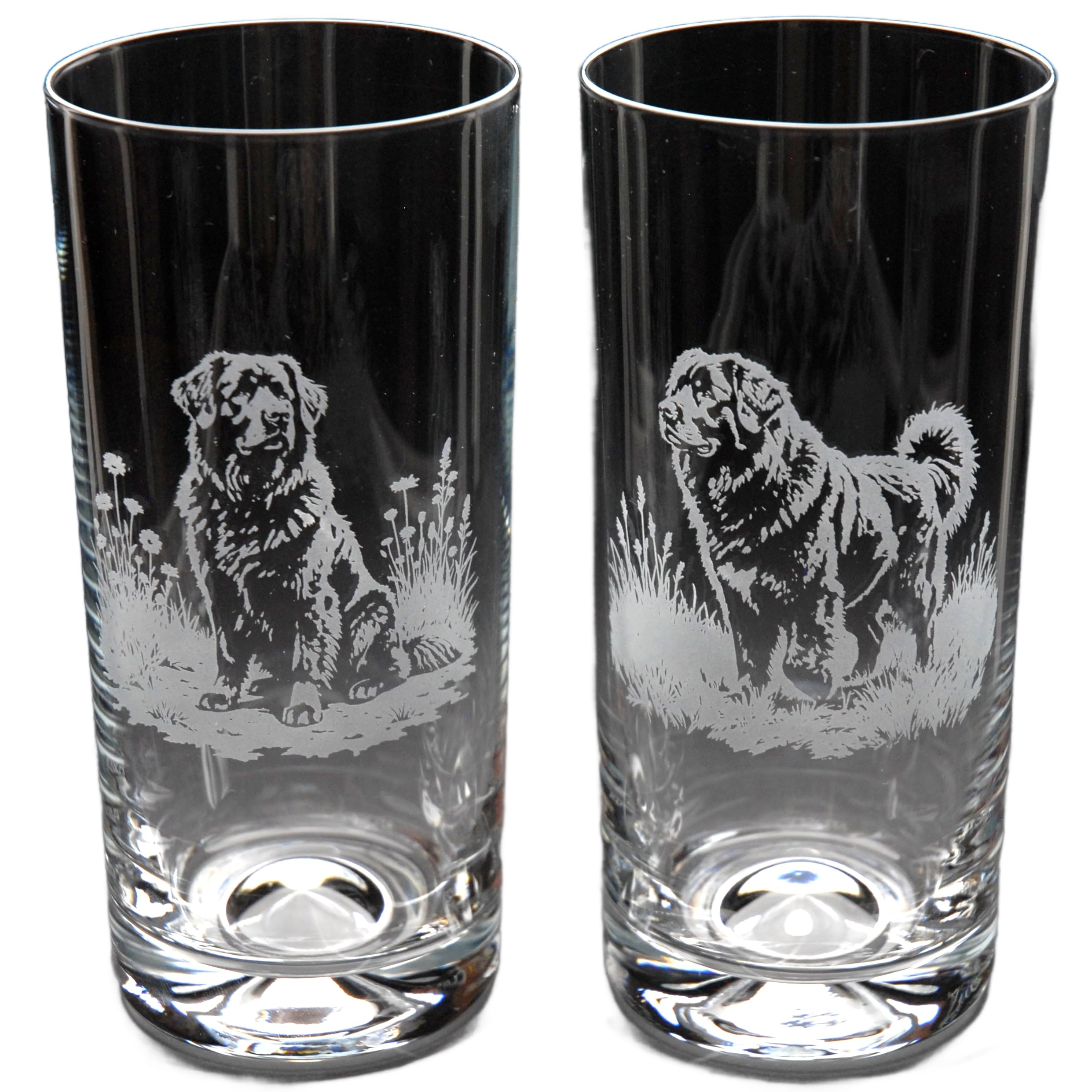 GLYPTIC Glass Art Newfoundland Dog Placement Hand Etched/Engraved Highball Glass