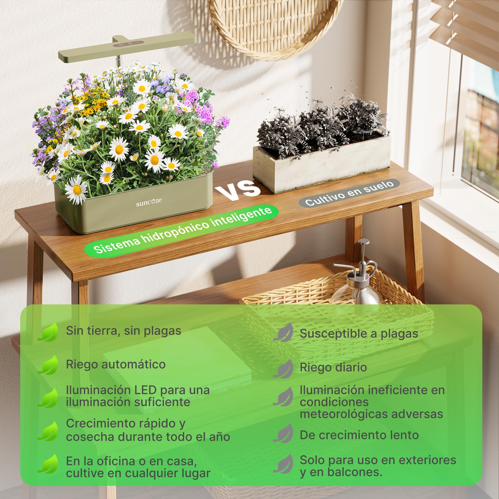 SUNCOZE Sistema de Cultivo Hidropónico Kit de Cultivo Interior con Iluminación LED Automática, Smart Garden 12 Pods, Altura Regulable, depósito de Agua de 4 l, Bomba silenciosa