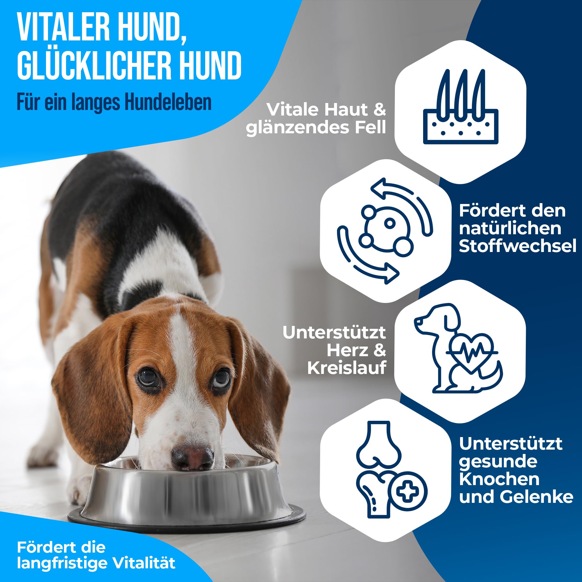 Premium Lachsöl 1000ml – hochwertiges Fischöl für Hunde, Katzen & Pferde – reich an Omega 3 & 6 Fettsäuren – naturbelassenes Barföl für Hunde