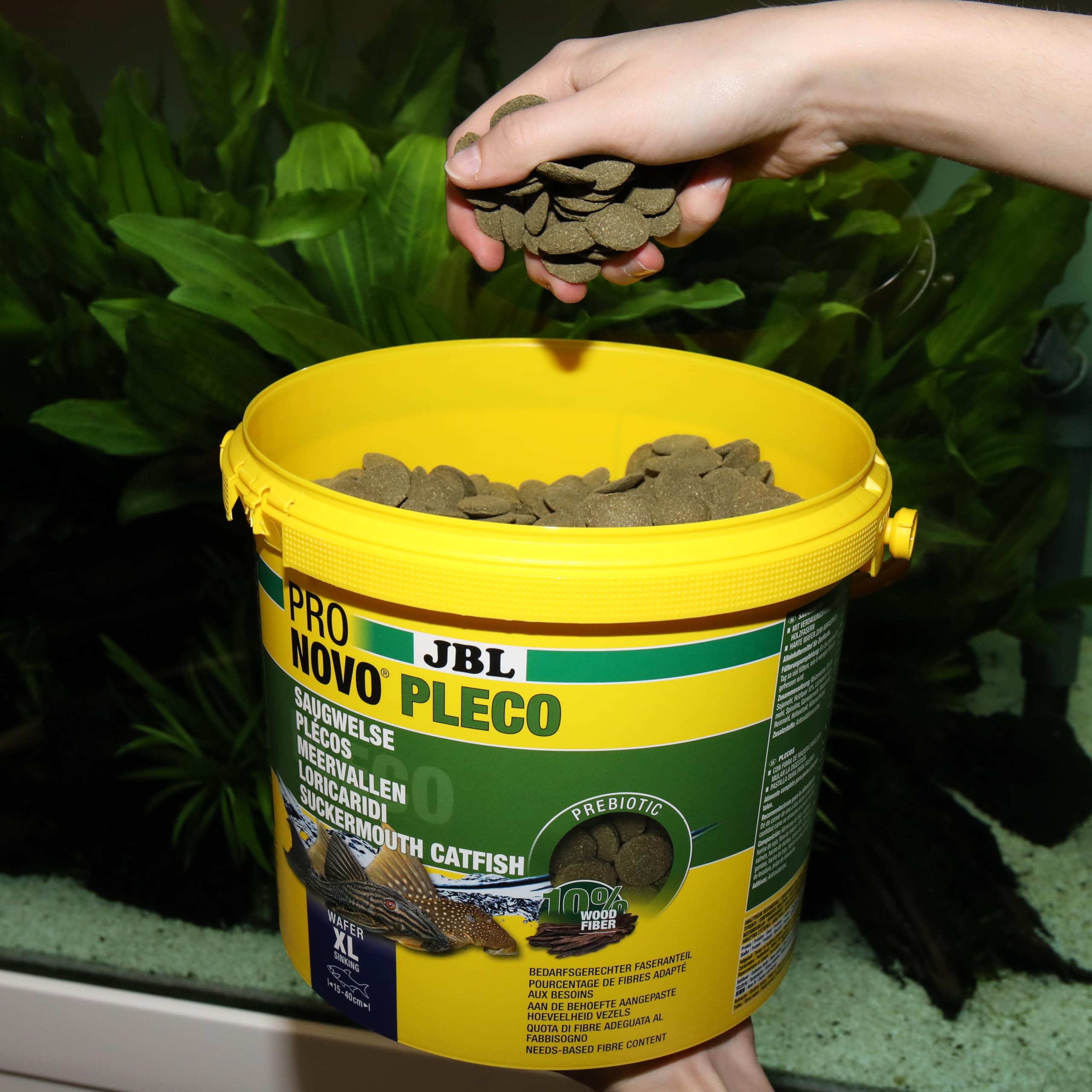 JBL PRONOVO PLECO WAFER, Comprimés Alimentaires avec part de Bois pour Locaridés Herbivores de 15-40 cm, Aliment pour Poissons, taille XL, 5,5 L