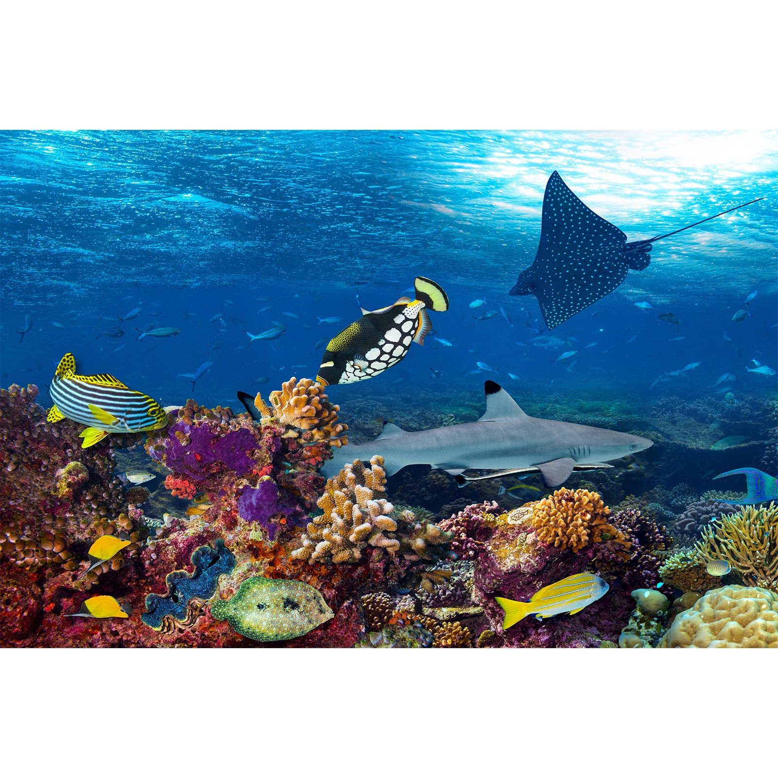 Under The Sea Aquarium Background Sea Turtle Shark Tropical Fish Terrarium Background Deep Blue Sea with Sunbeams Fish Tank Backdrop Colorful Coral Reef Fish Group Ocean Backgrounds 60x24in