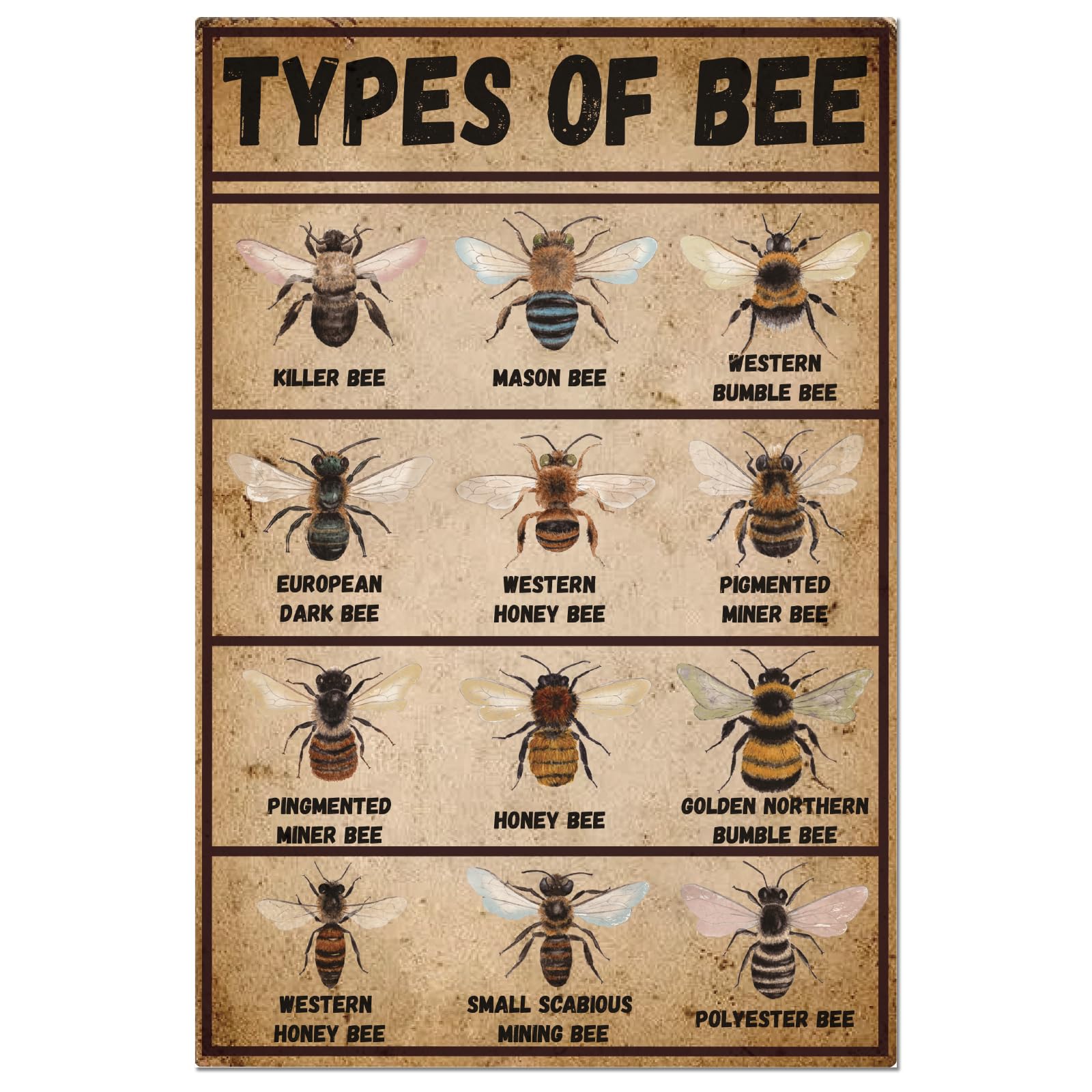 peiyeety Type of Bee Metal Tin Sign Retro Cafe Bar Tin Painting Plaque Wall Art Poster 8x12 Inch