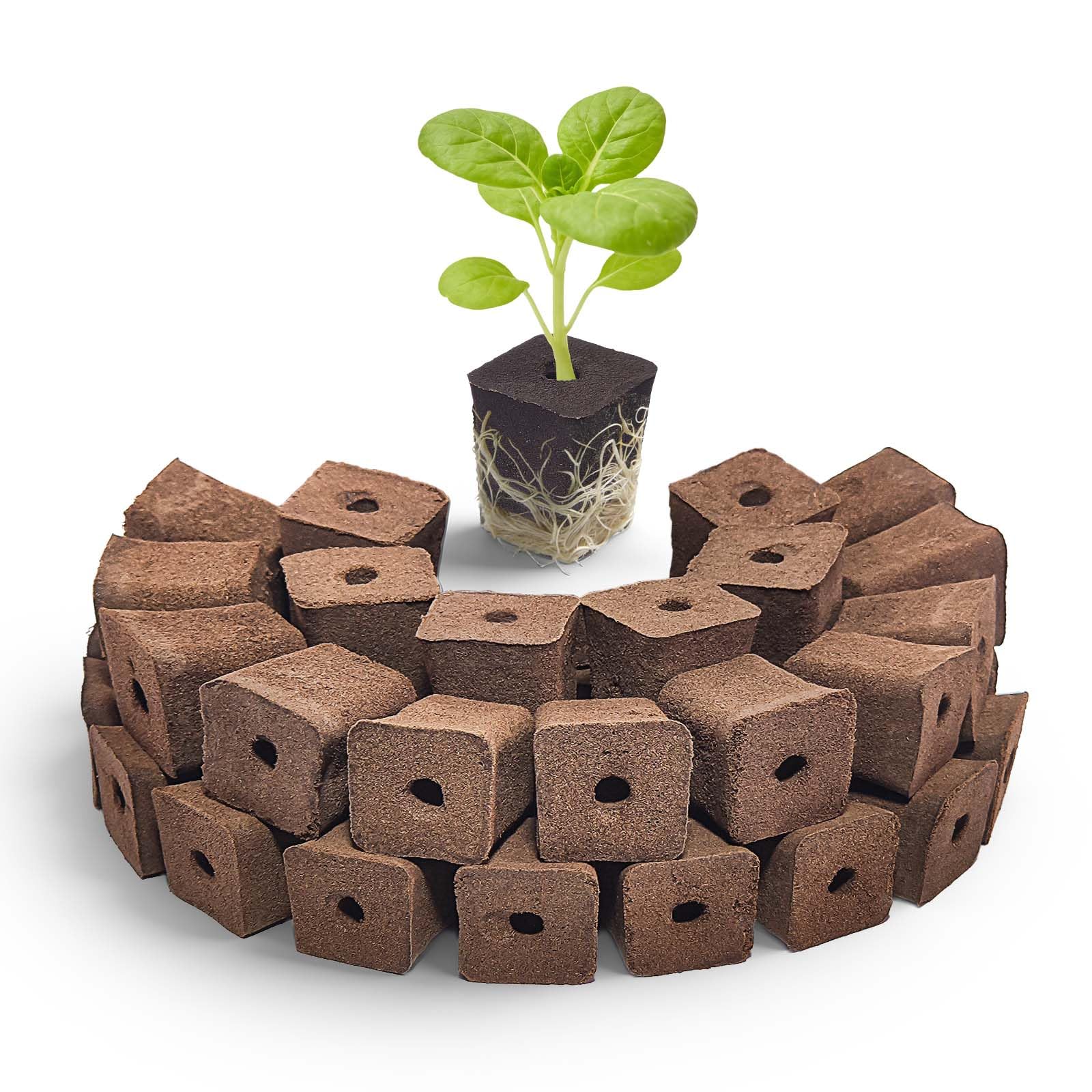 Paquete de 50 esponjas de cultivo, esponja cuadrada de repuesto, esponjas de inicio de plántulas para sistema hidropónico de jardín interior, kits de germinación de enraizamiento