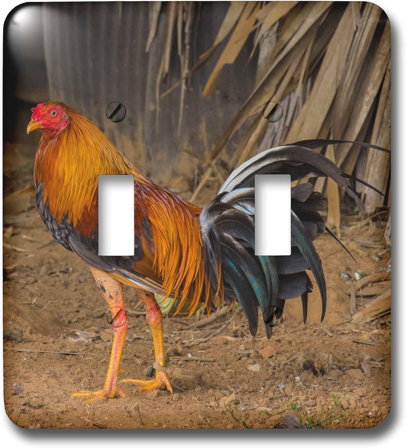 3dRose (lsp_257376_2) Double Toggle Switch Cuba. Pinar del Rio. Vinales. Rooster