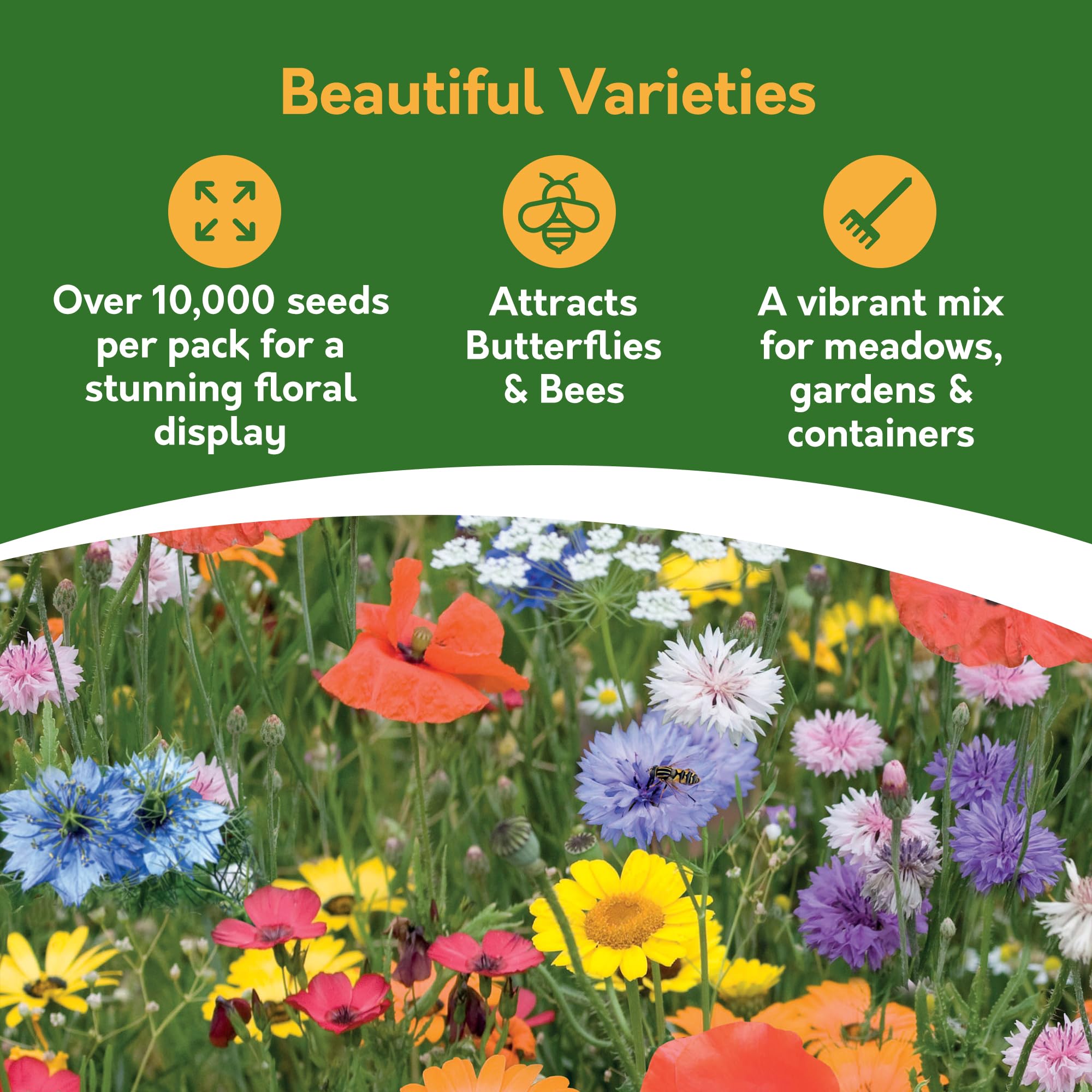 Pronto Seed Wild Flowers Seeds - UK Mixed Variety Pack - Selected Wildflower Seed Mix for Garden & Meadow Areas - Native British Blooms, Covers 25m2 (Meadow Garden) — view 2