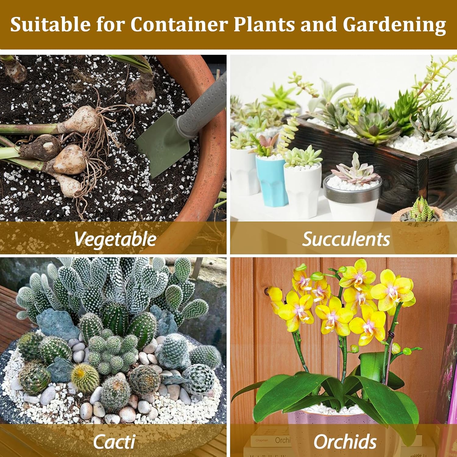 Riare 20 Quarts Organic Perlite for Plants - Horticultural Perlite Soil Amendment for Plants Potting Mix, Natural Chunky Perlite Soil Additive Conditioner Improve Root Growth, Drainage and Ventilation