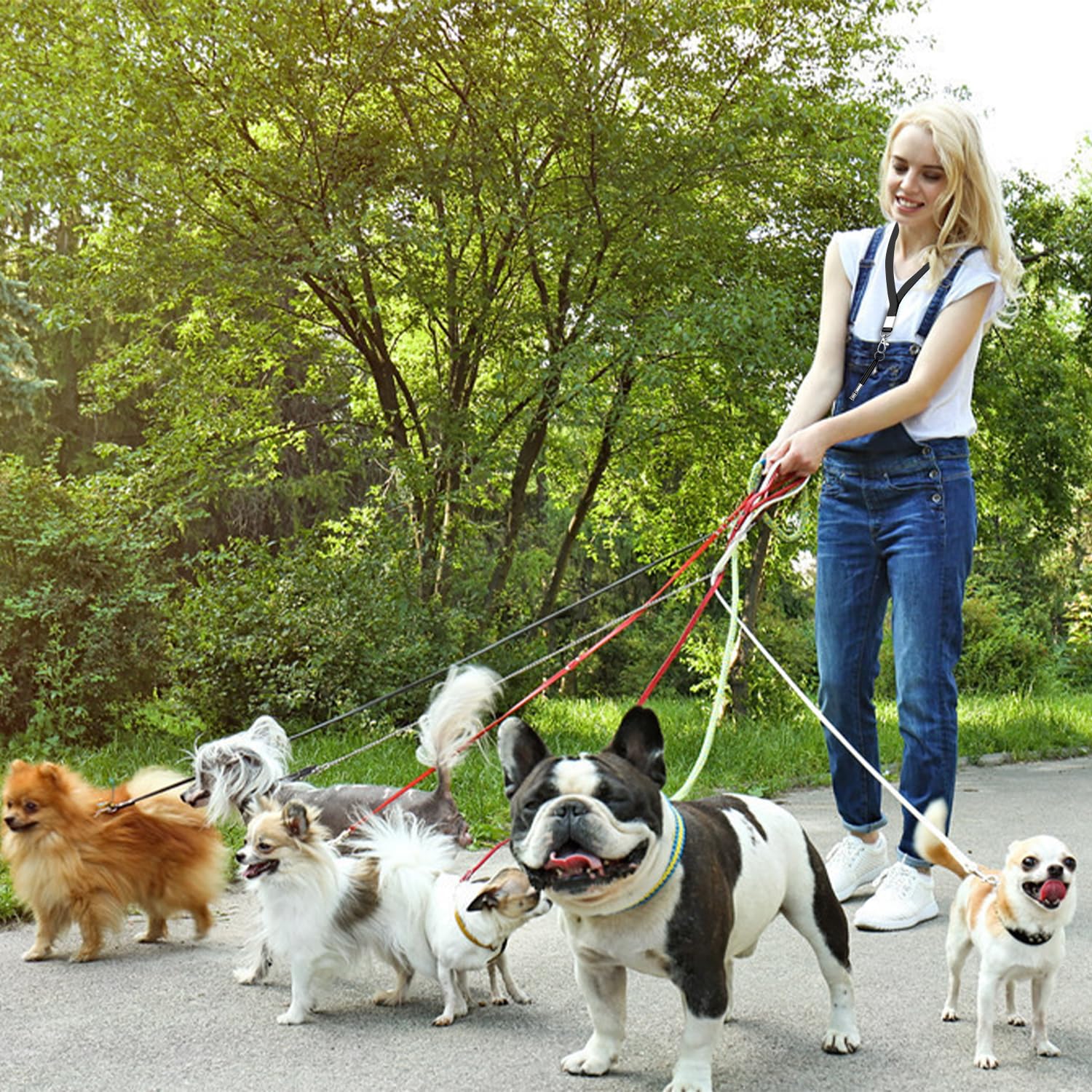 Silbatos de entrenamiento para perros, 2 unidades, retirada profesional, deja de ladrar, silencioso, ajustable en blanco y negro, con cordón