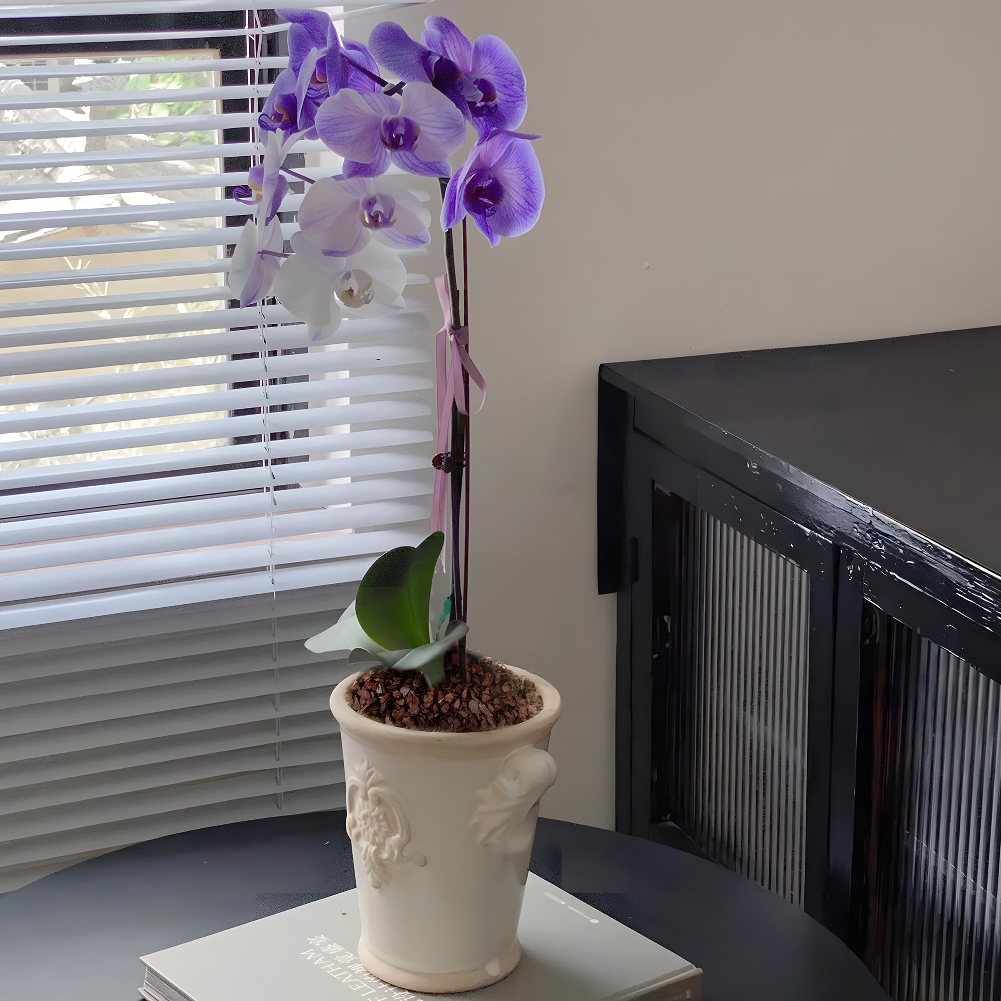 AVALUTION Orchideen-Blumenrinde, 18QT, Bio-Orchideenrinde für Pflanzen, natürliche Kiefernrinde, Holzspäne, Orchideenrinde, Blumenmischung für Zimmerpflanzen-Mulch, hilft Orchideenpflanzen,