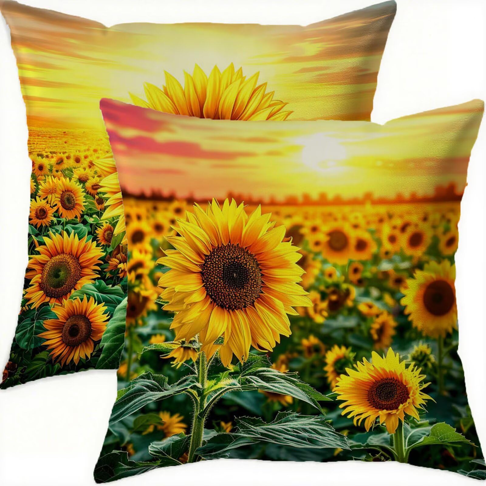 Housse de coussin 75x75cm imperméable en velours pour canapé et patio extérieur